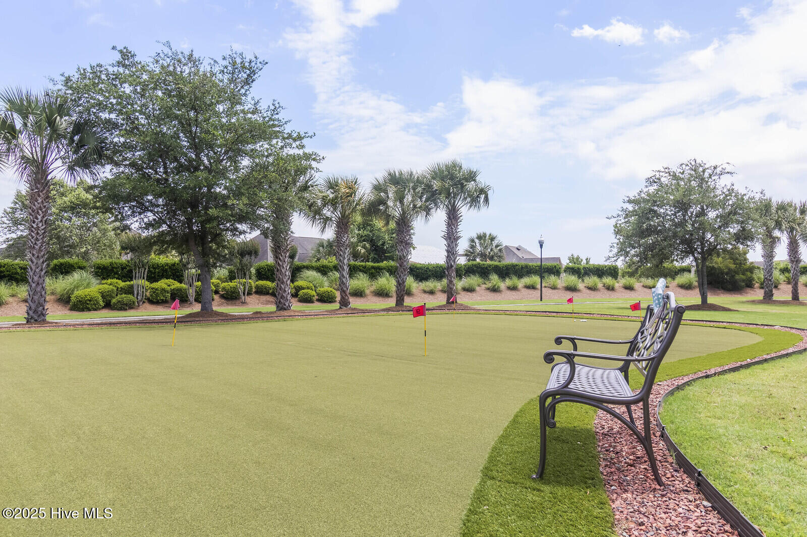 100471796 | Photo 52