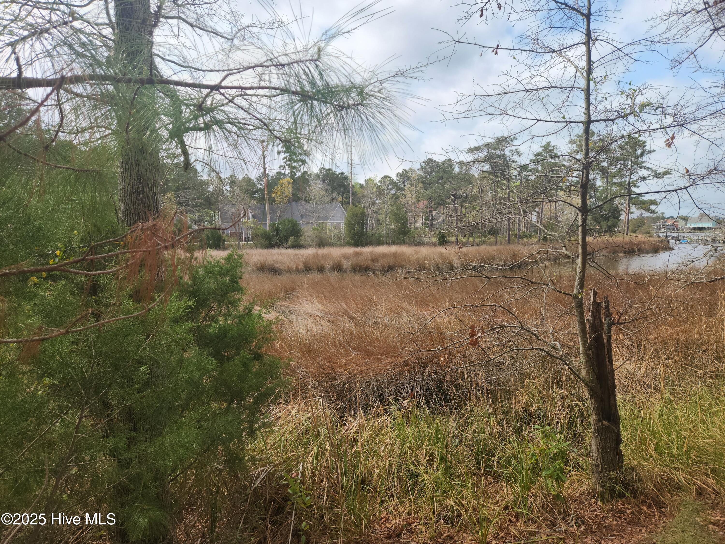 possible views of Dawson Creek