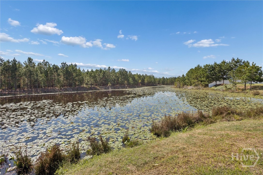 Homes for sale in Midway, GA | 455 Tondee Way, Midway, GA 31320 | MLS# SA342119