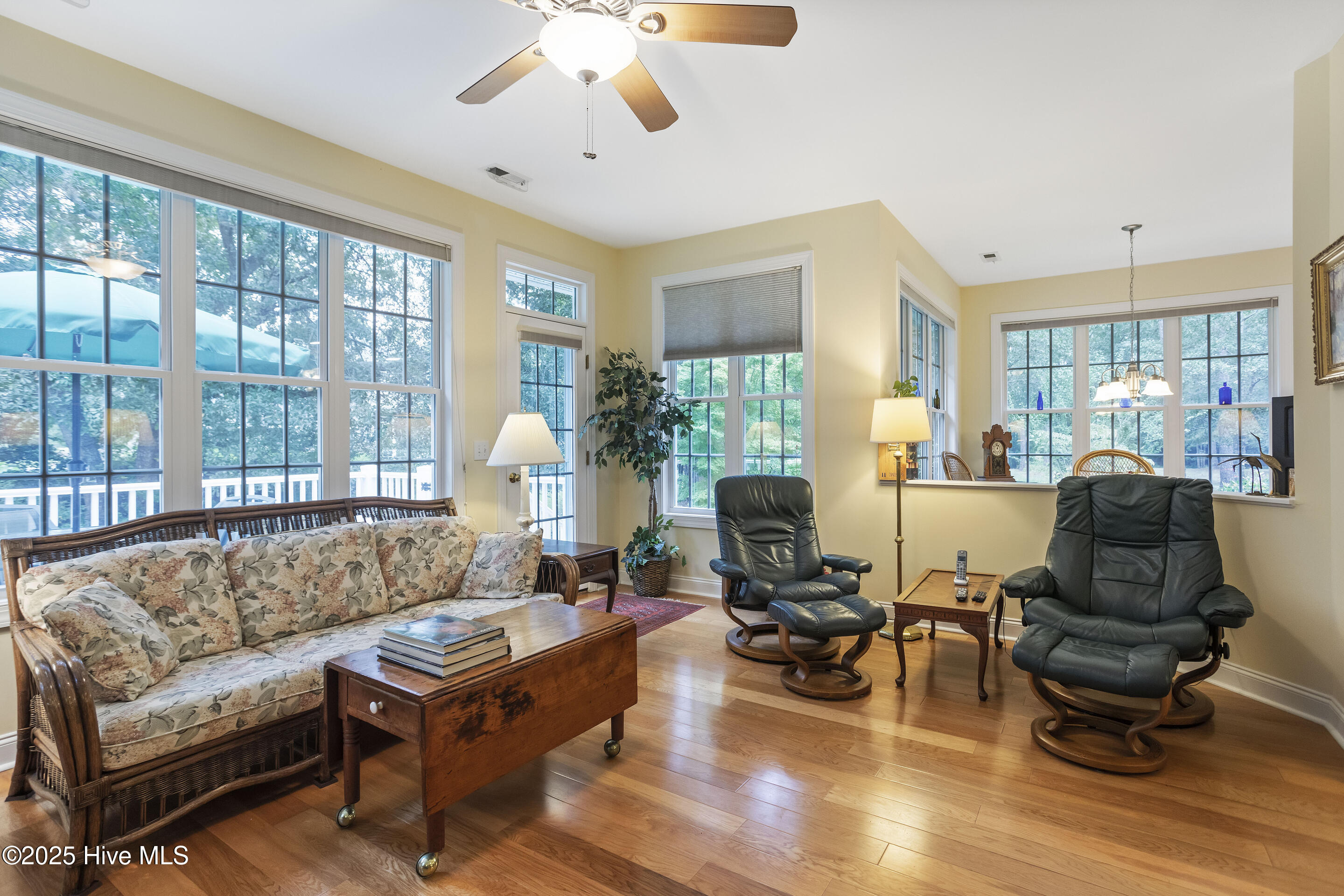 100528316 | Photo 17