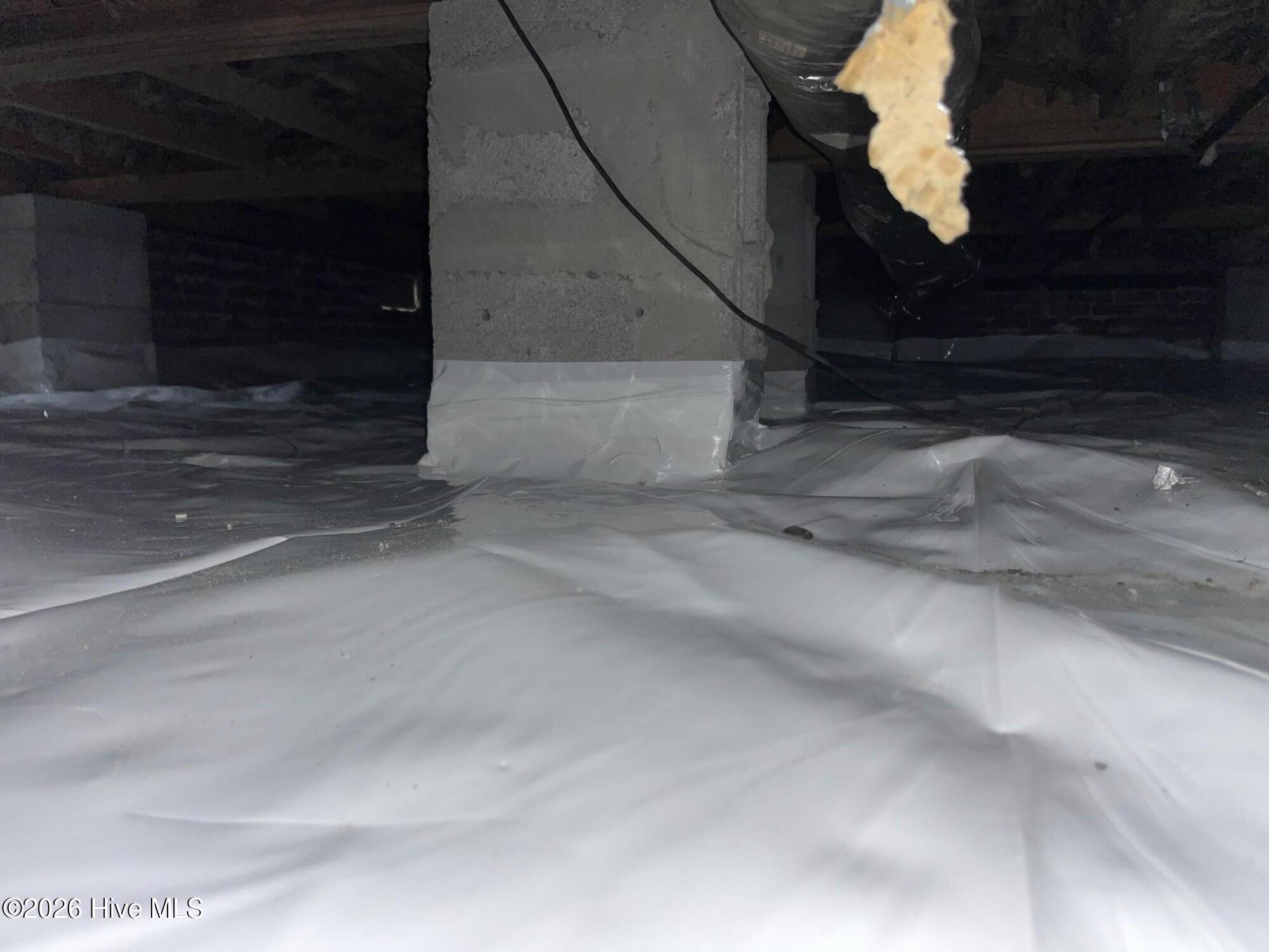 100558316 | Photo 52