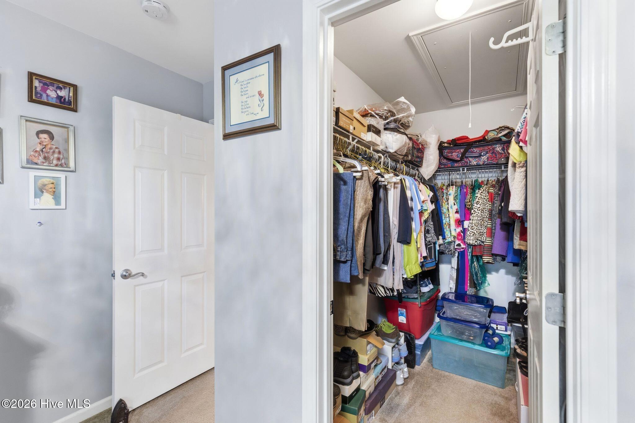 100557831 | Photo 26