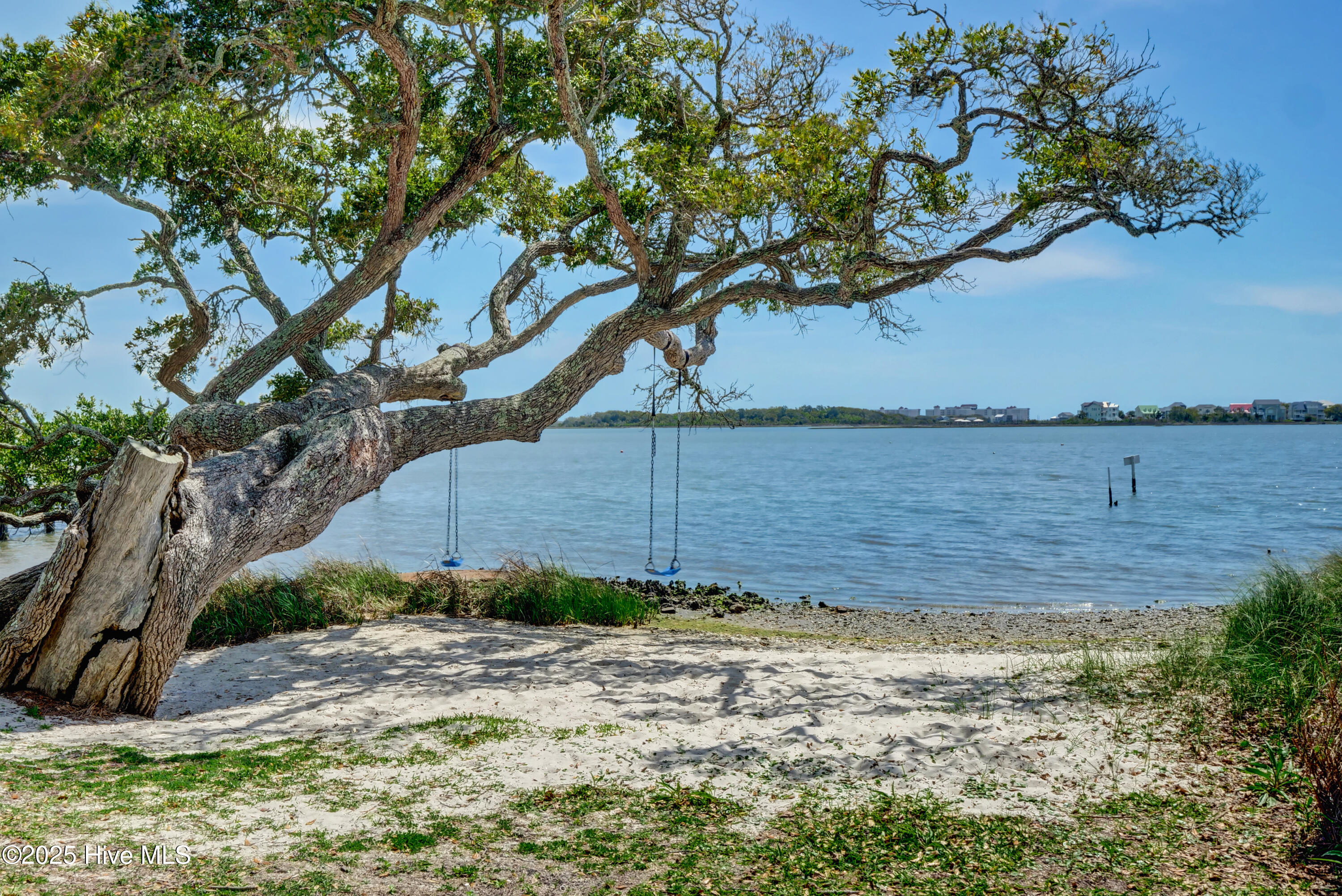 100557496 | Photo 12