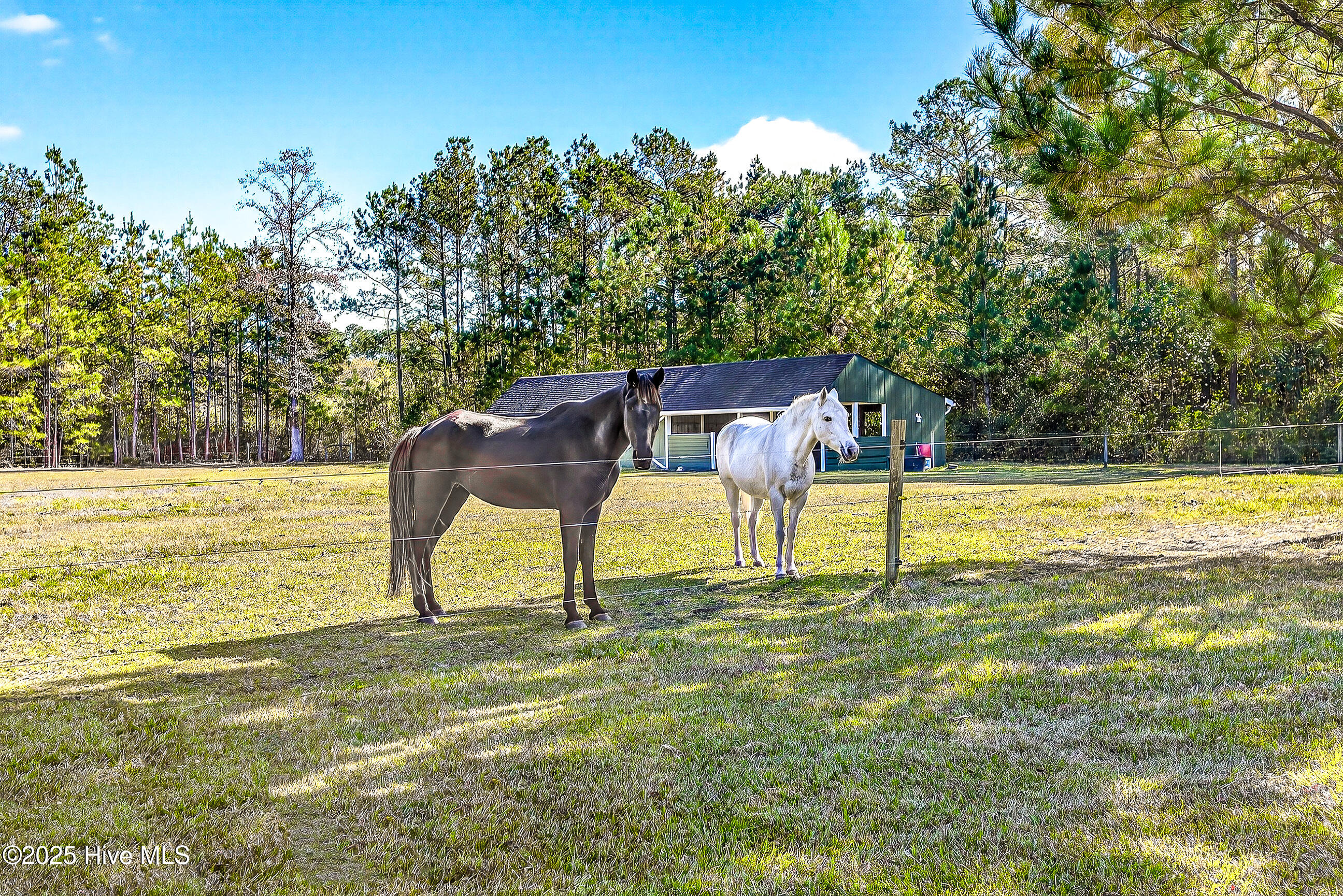 100540143 | Photo 55