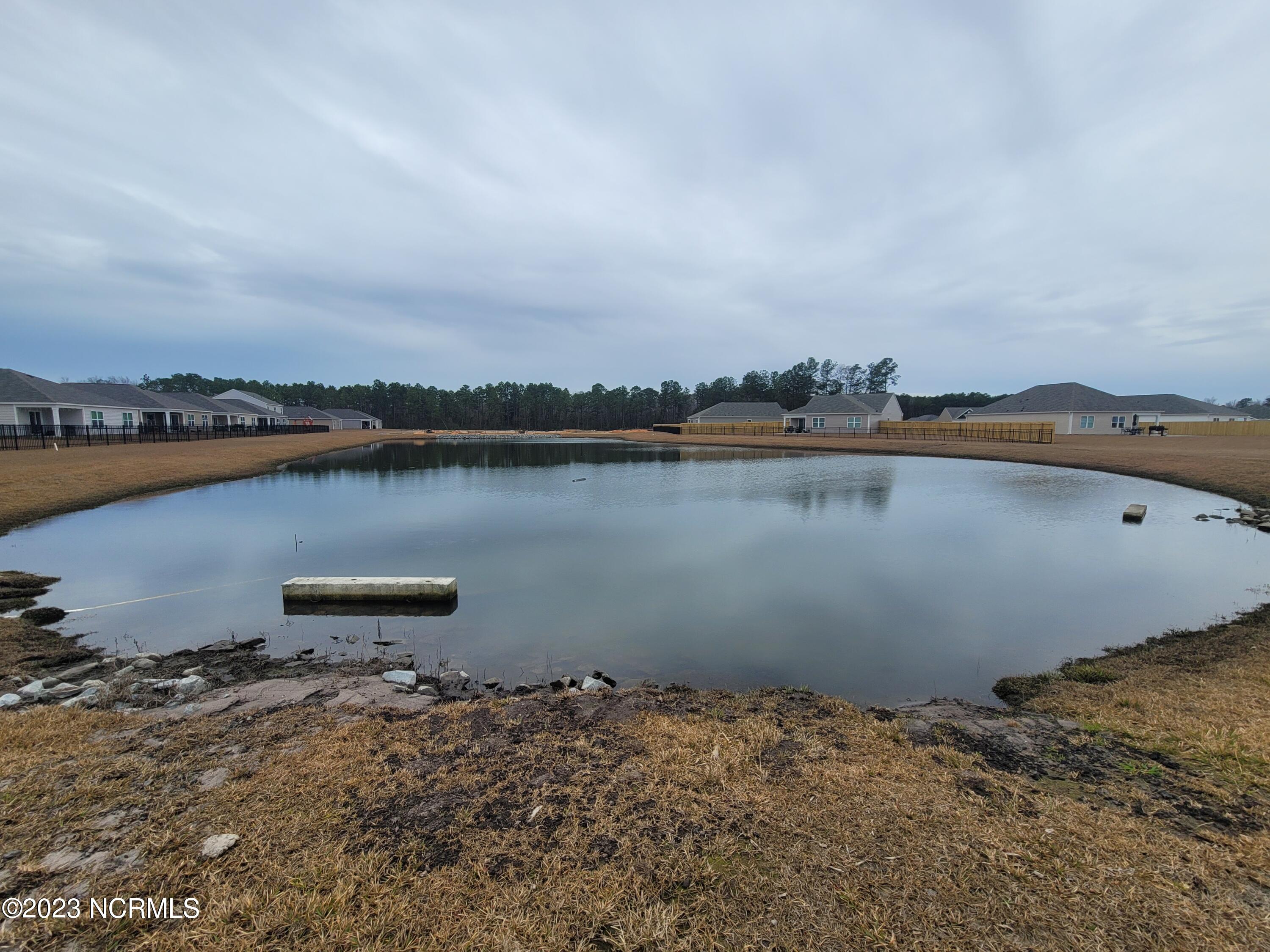 100556788 | Photo 32