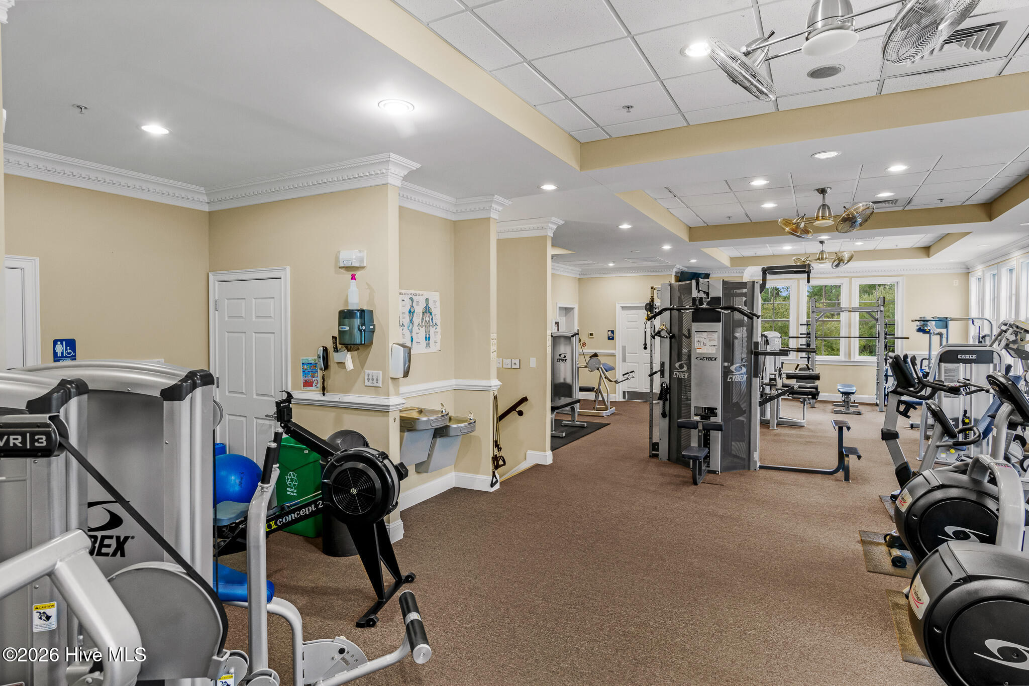 100565243 | Photo 29