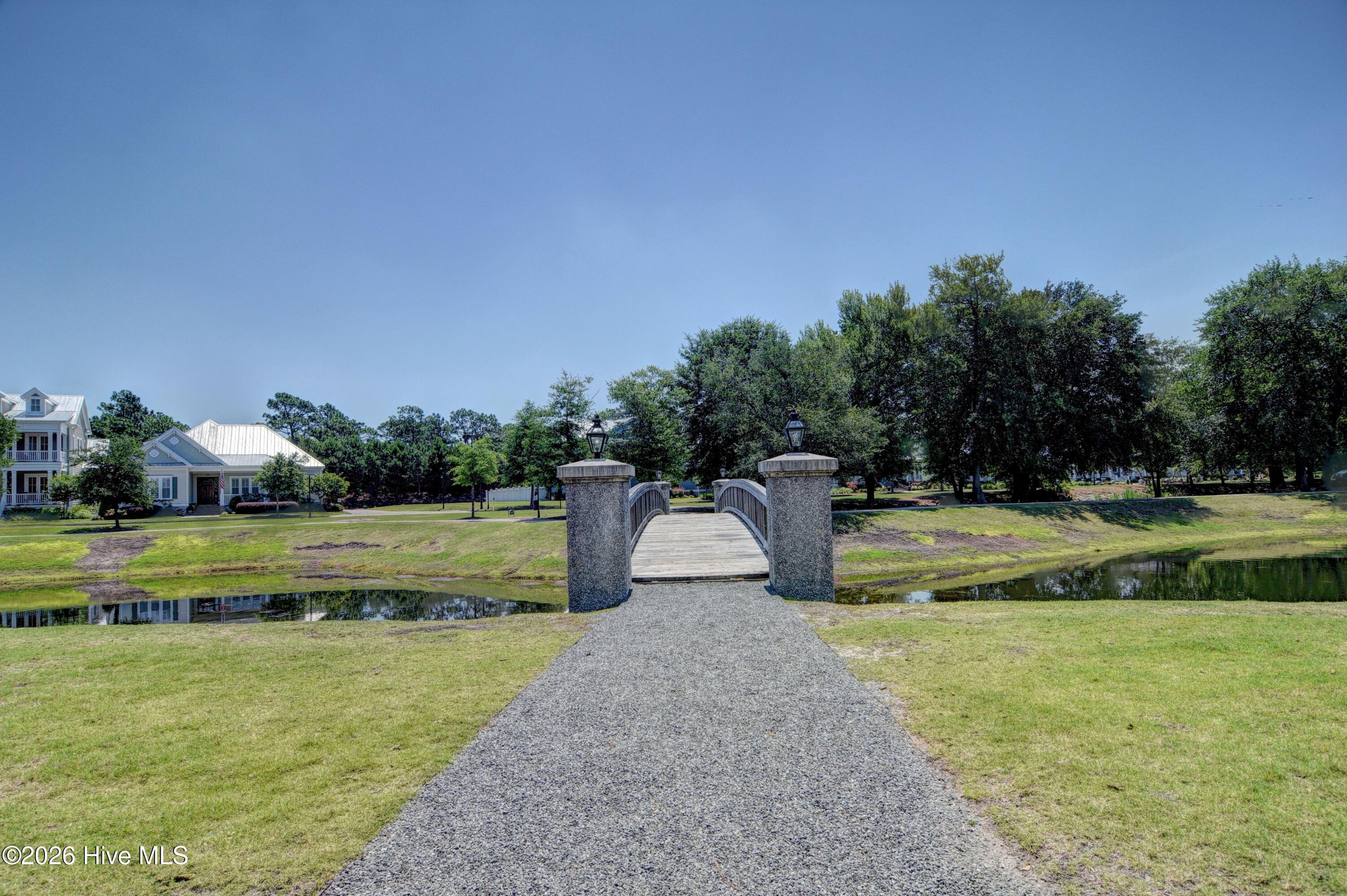 100549123 | Photo 53