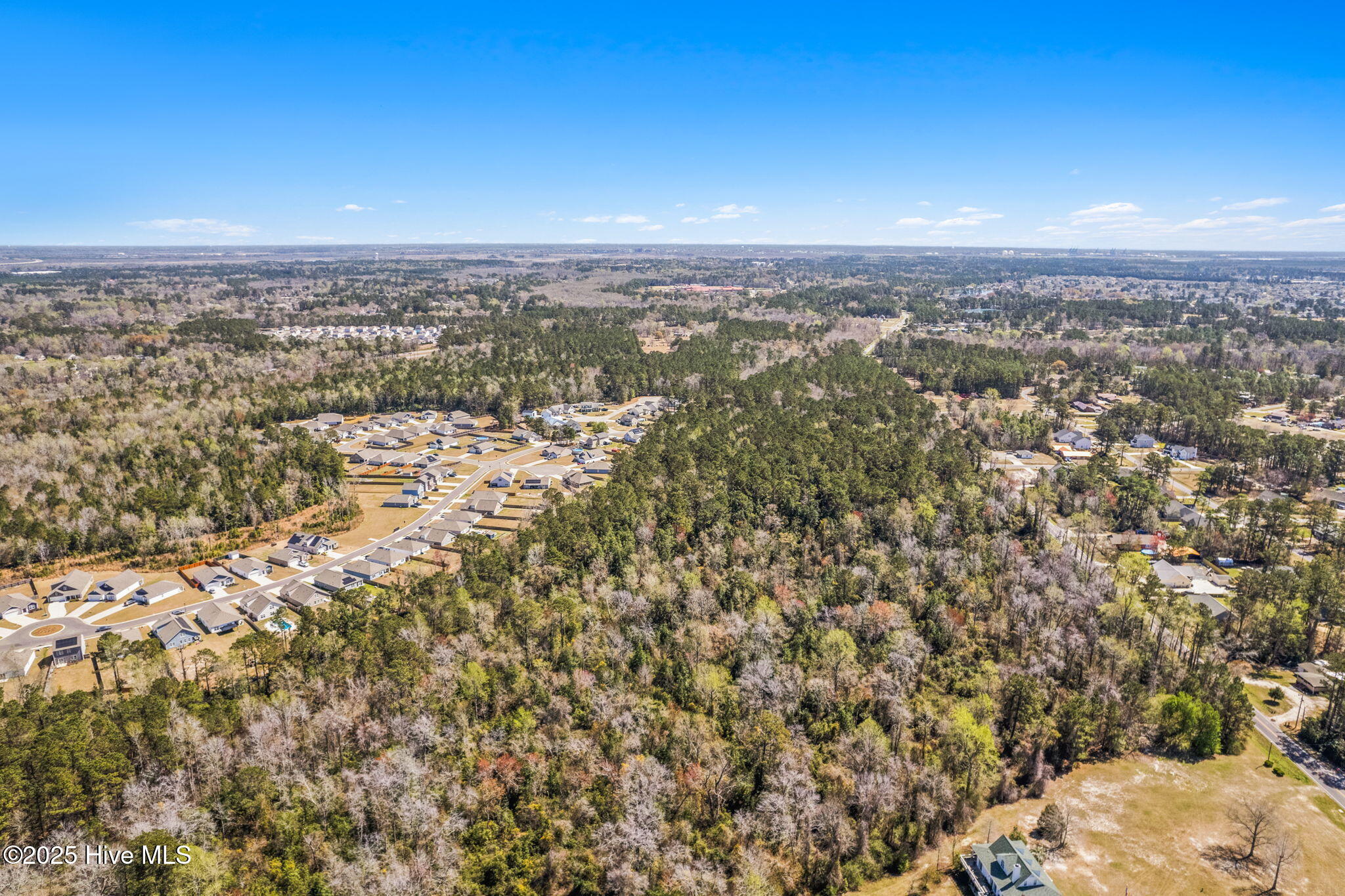 100426065 | Photo 15