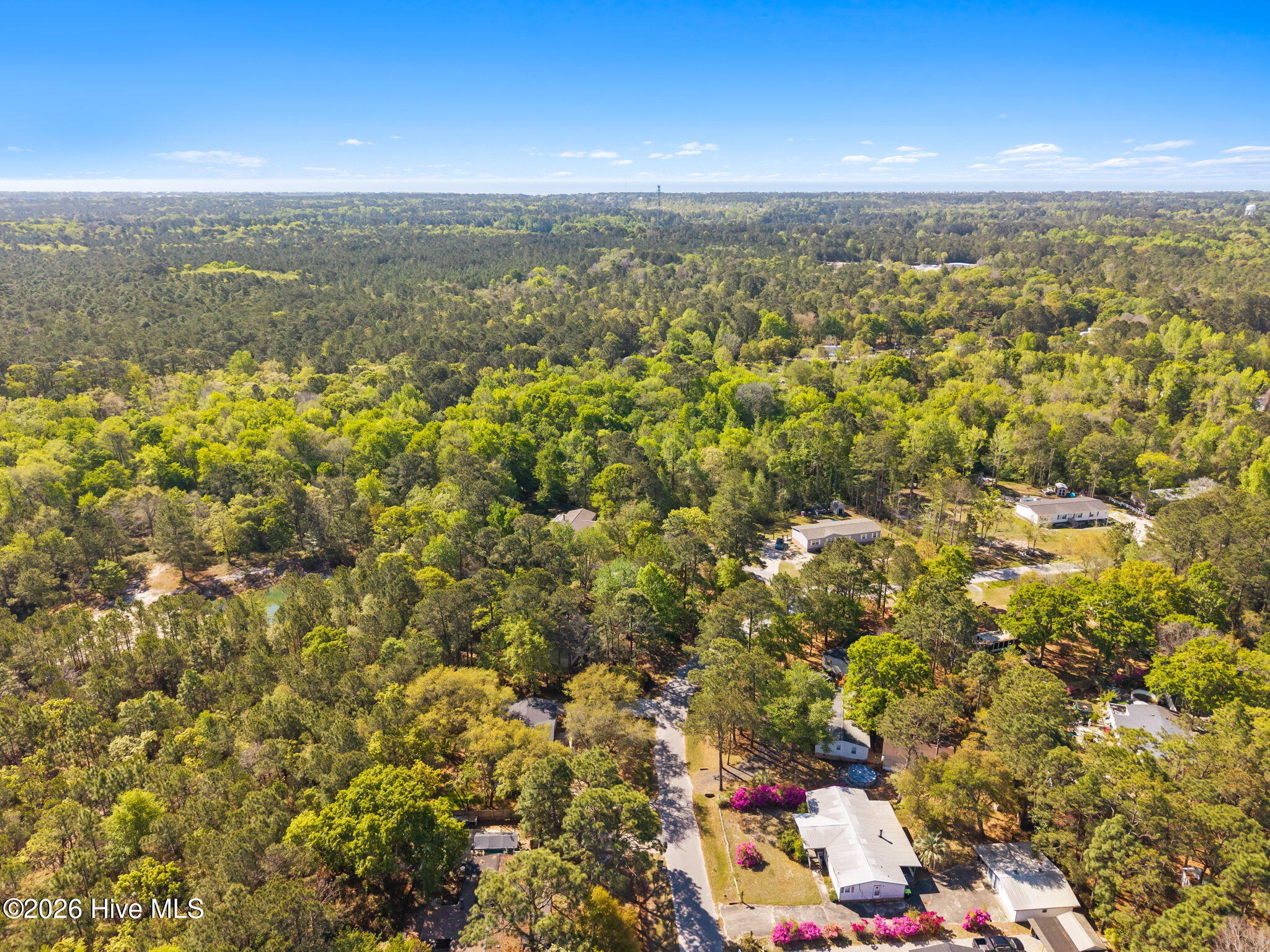 100569950 | Photo 41