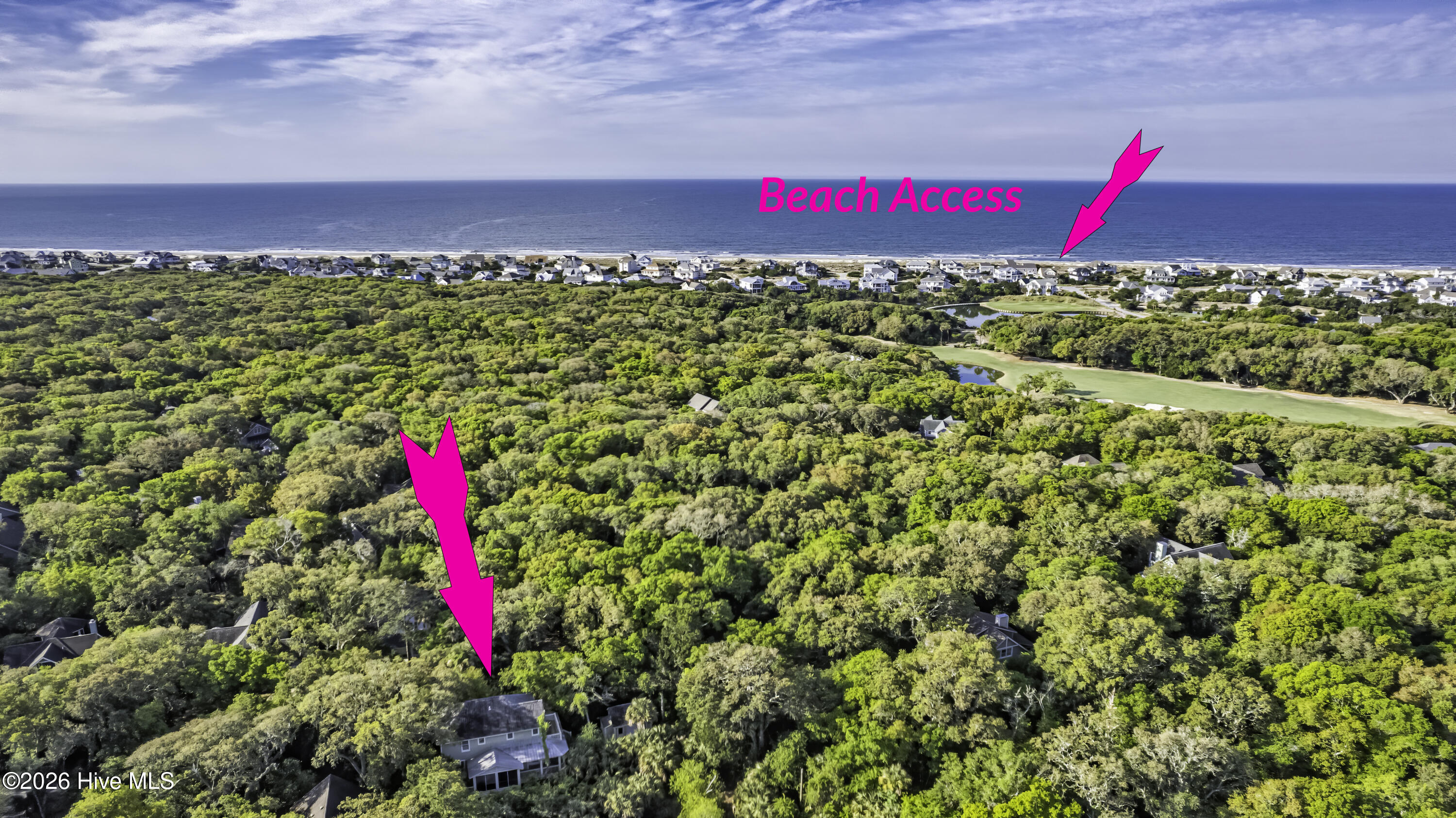 100570305 | Photo 39