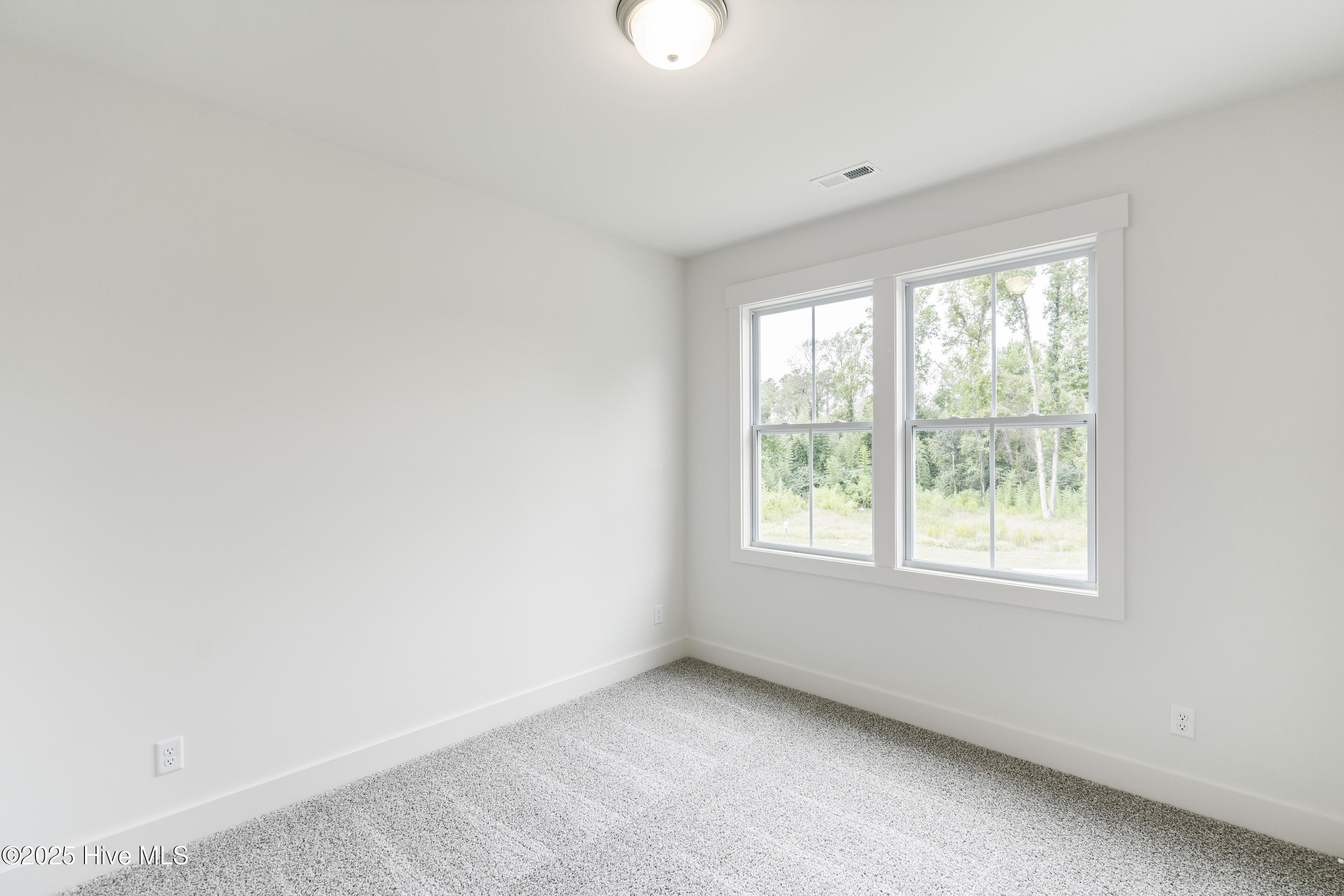 100519186 | Photo 27