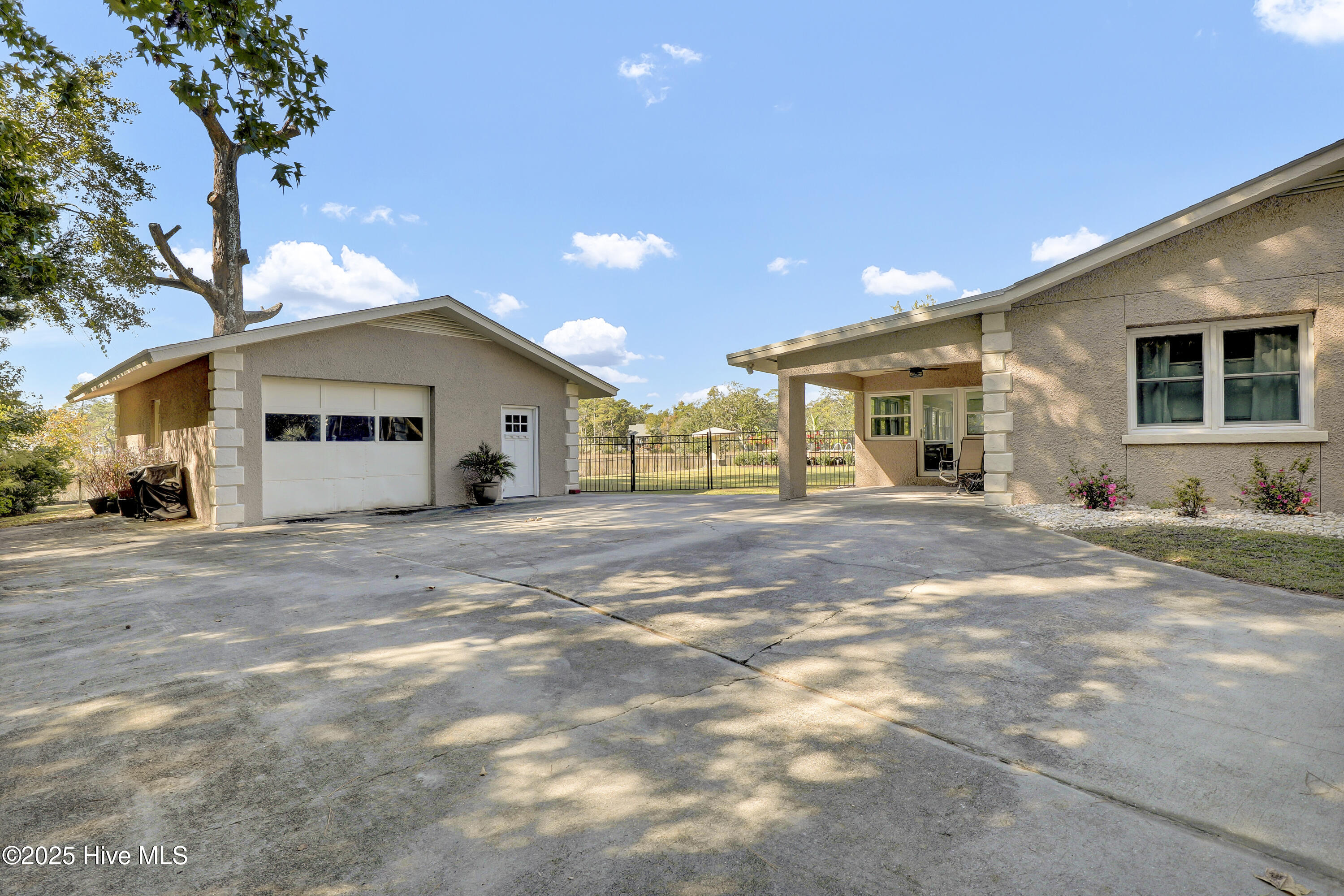 100537816 | Photo 40