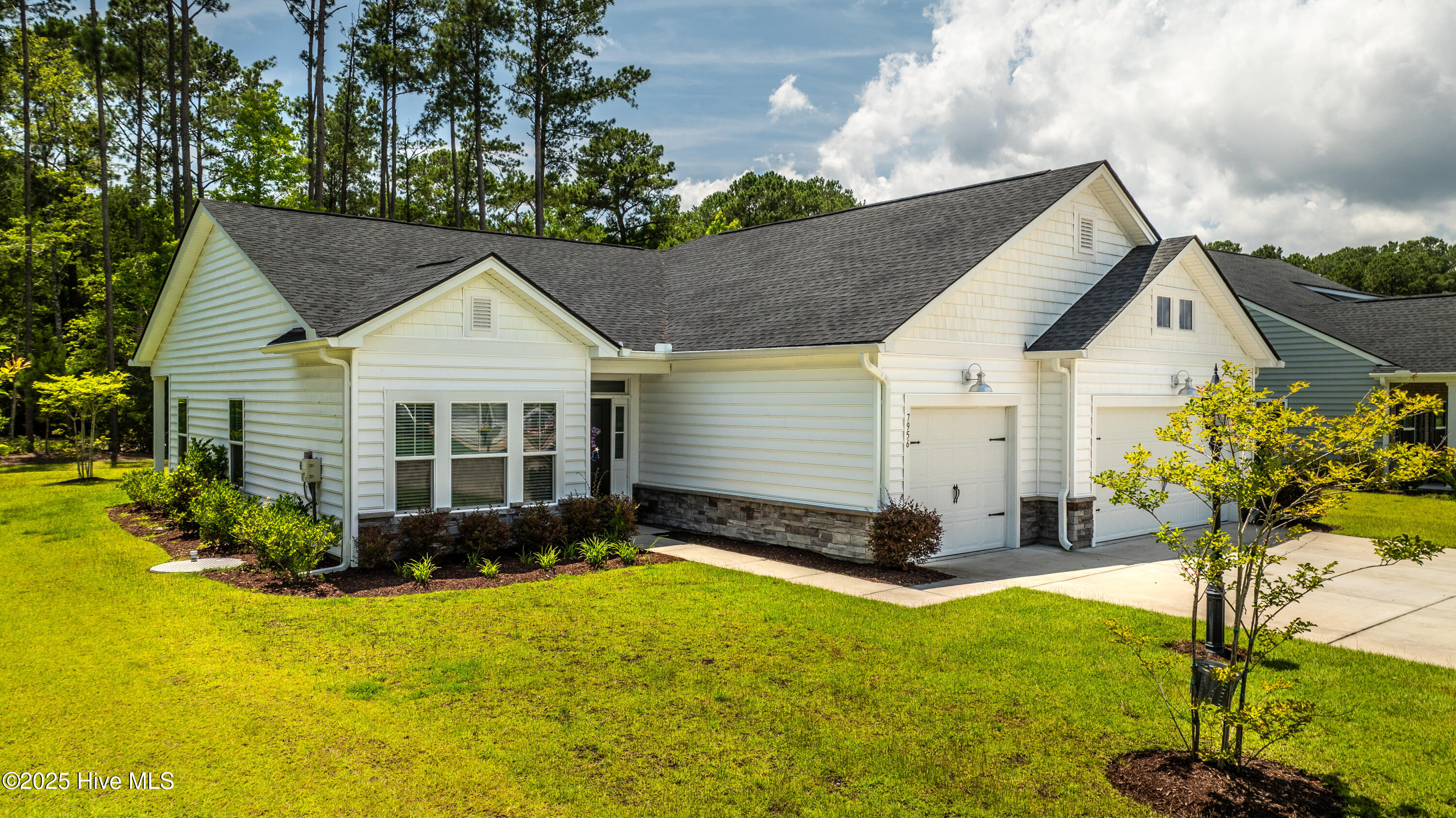 100515314 | Photo 24