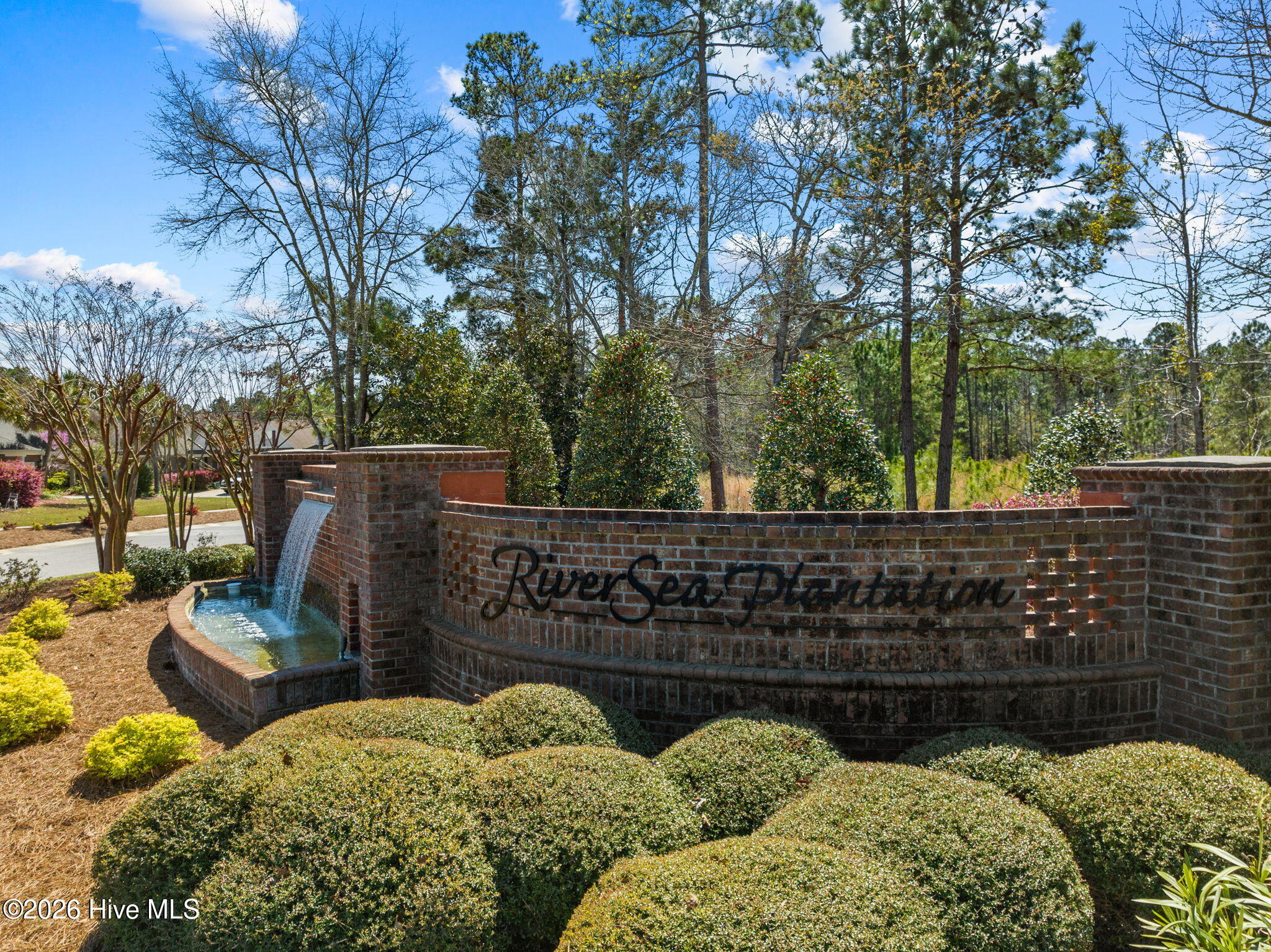 100563731 | Photo 102