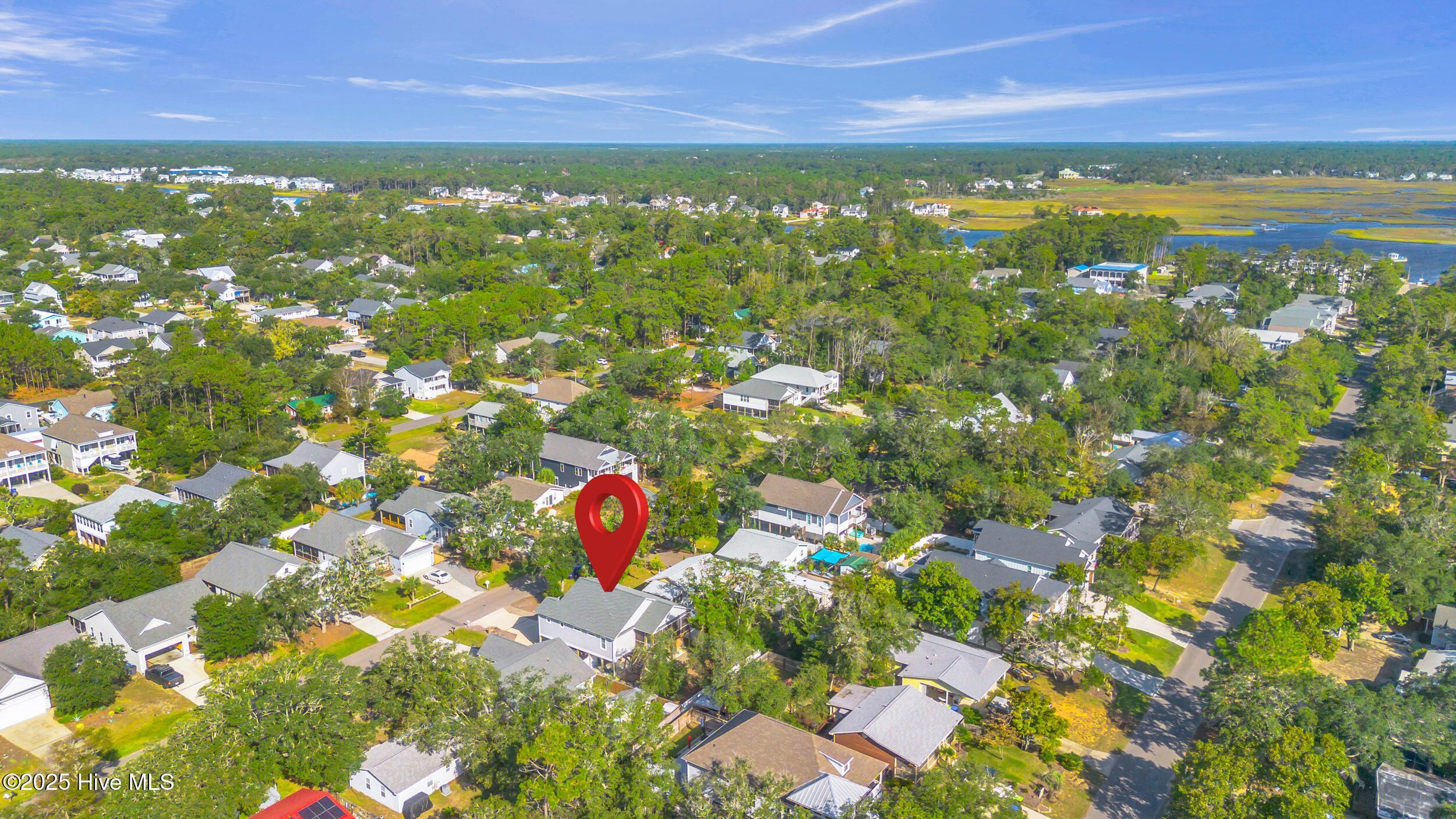 100534529 | Photo 58