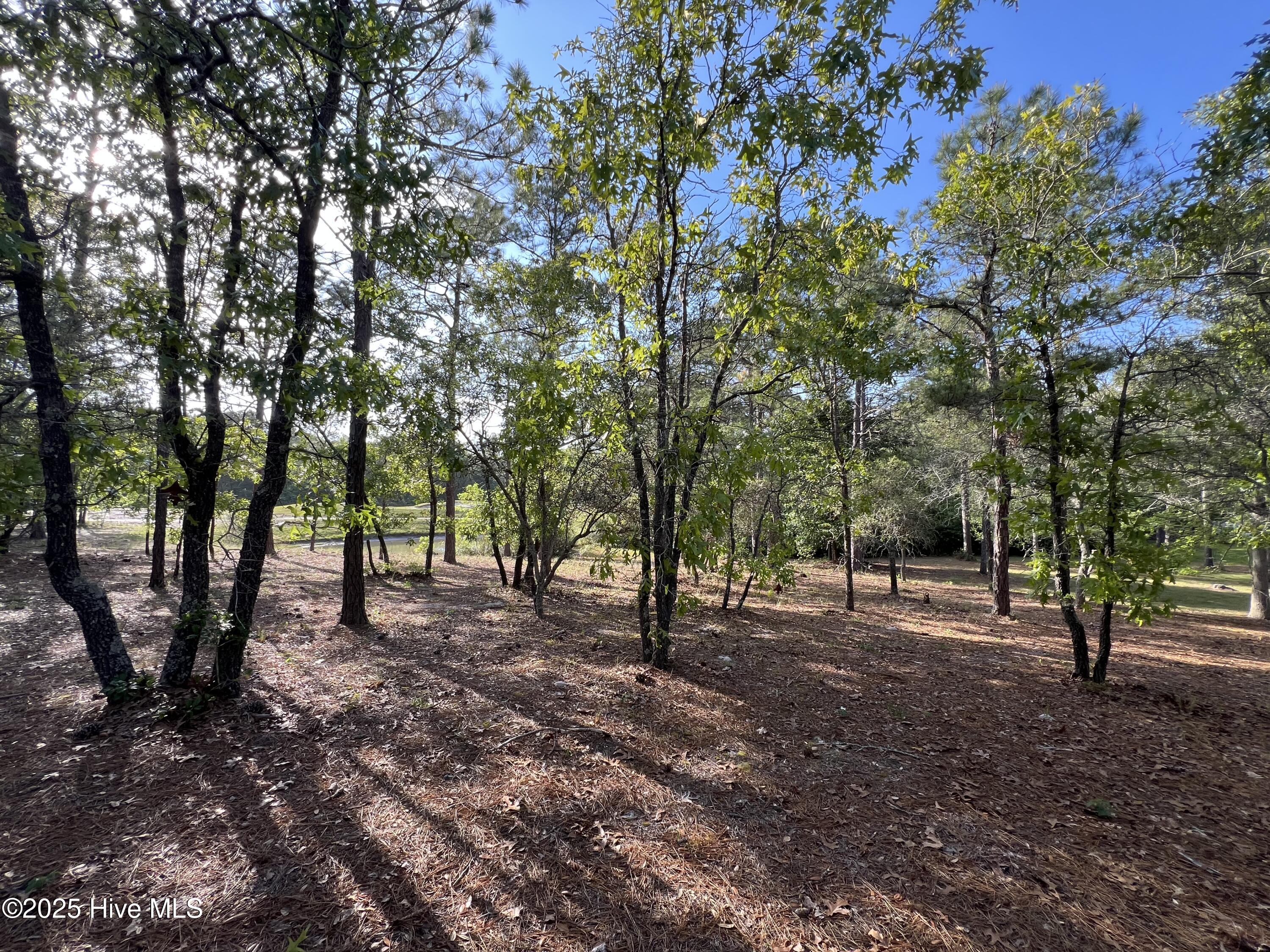 100506027 | Photo 27