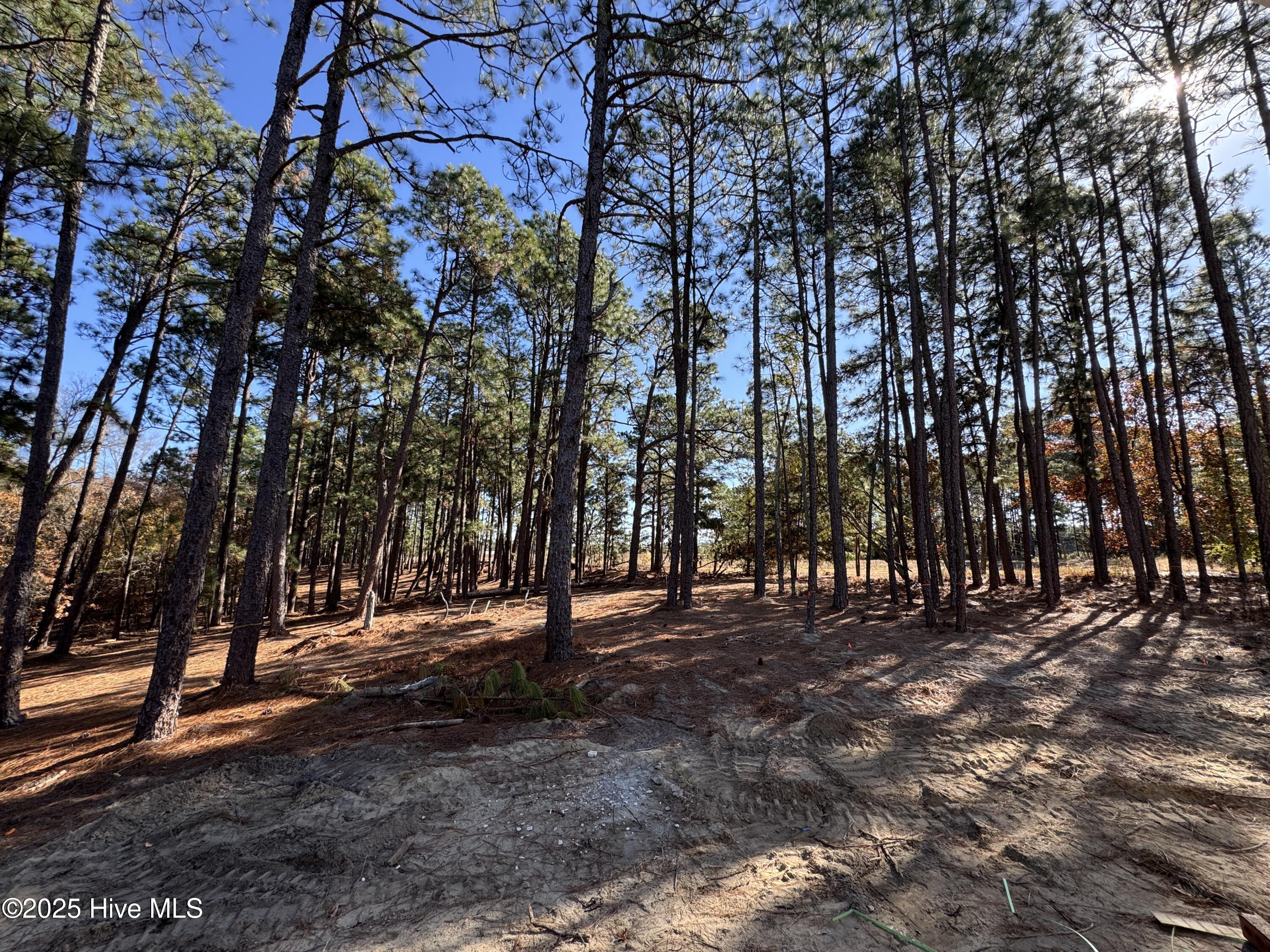 Homes for sale in West End, NC | 494 Longleaf Dr, West End, NC 27376 | MLS# 100541233