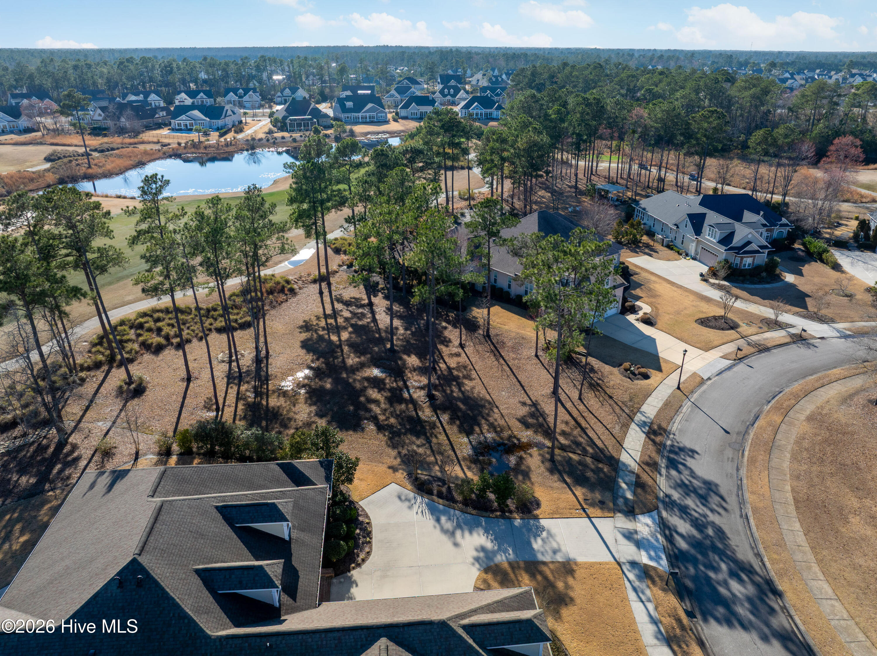 100557146 | Photo 22