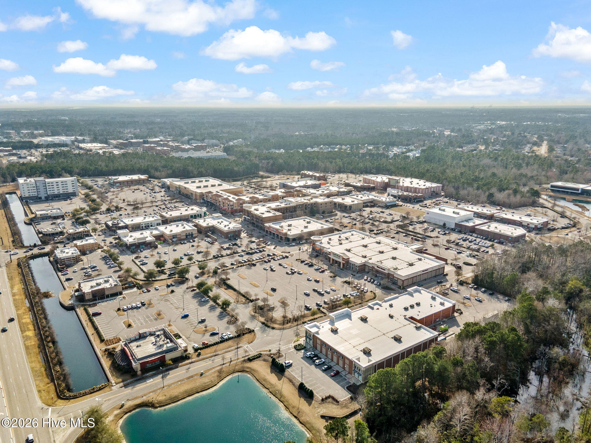 100557806 | Photo 47