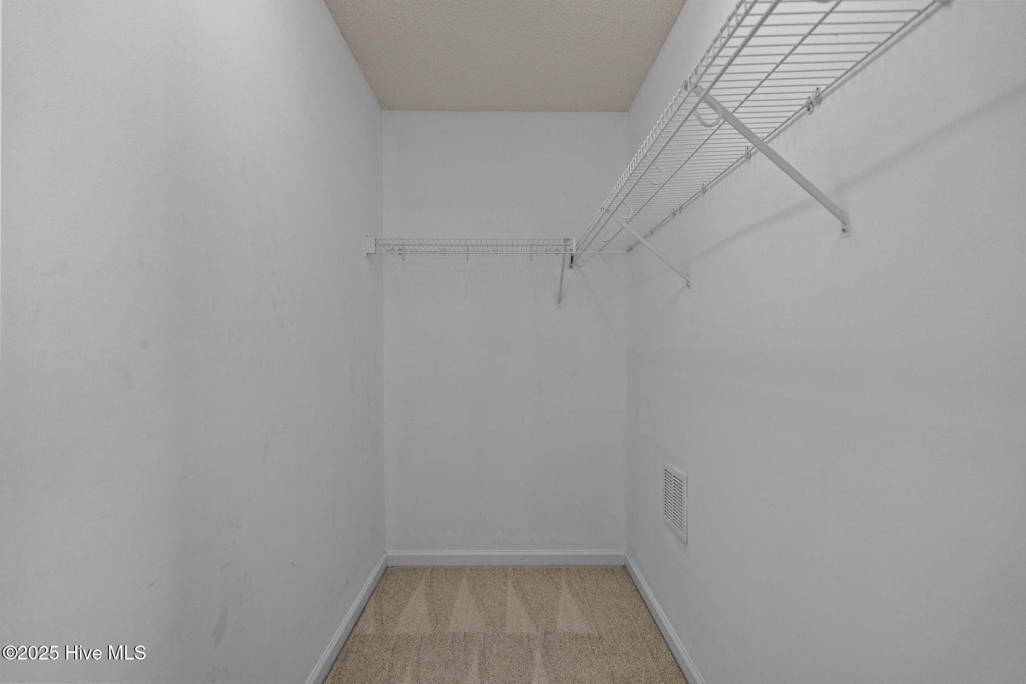 100537991 | Photo 21