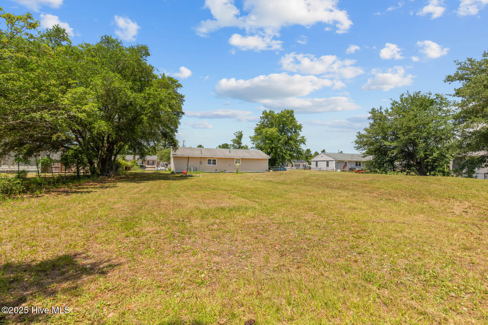 100529573 | Photo 16