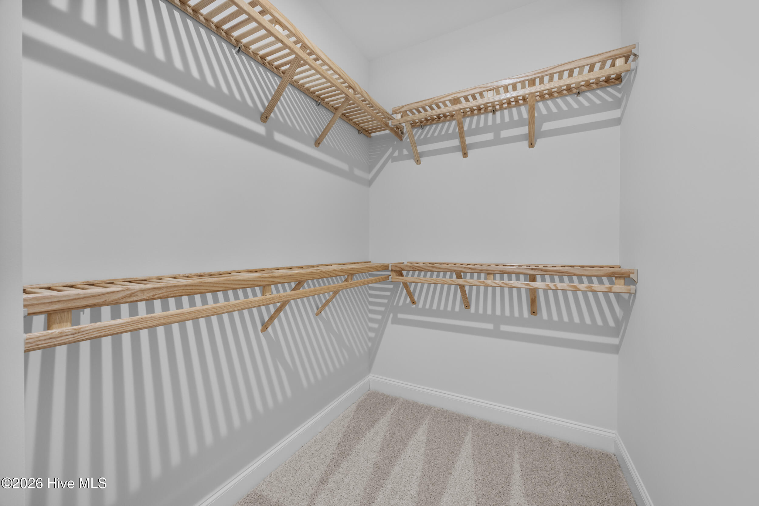 100527053 | Photo 36