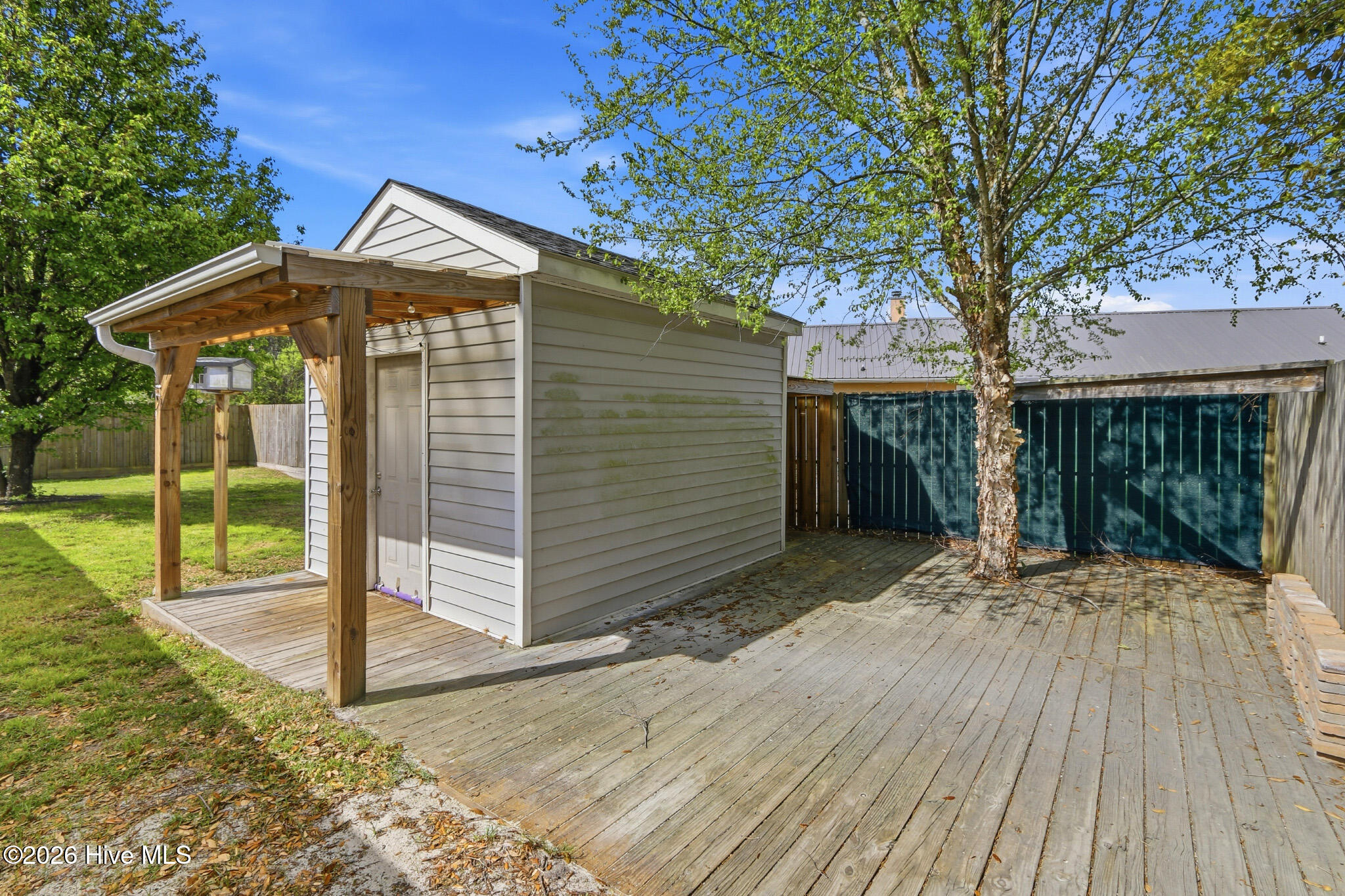 100558935 | Photo 11