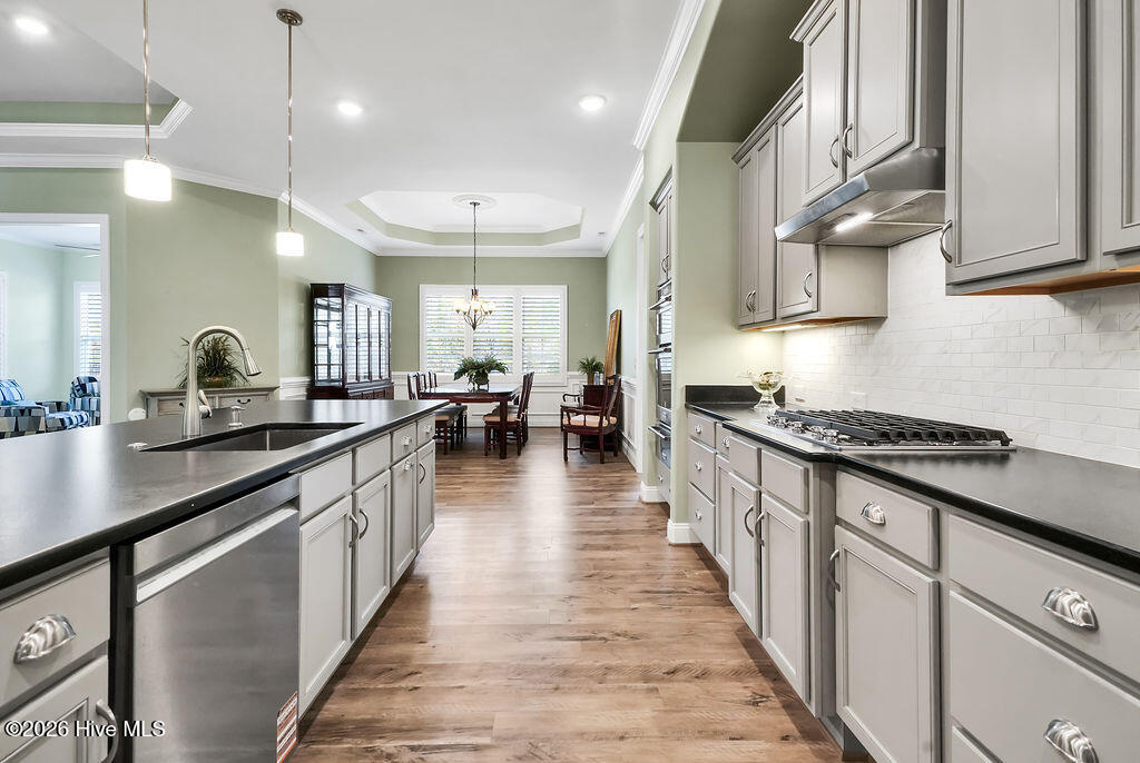 100558721 | Photo 15