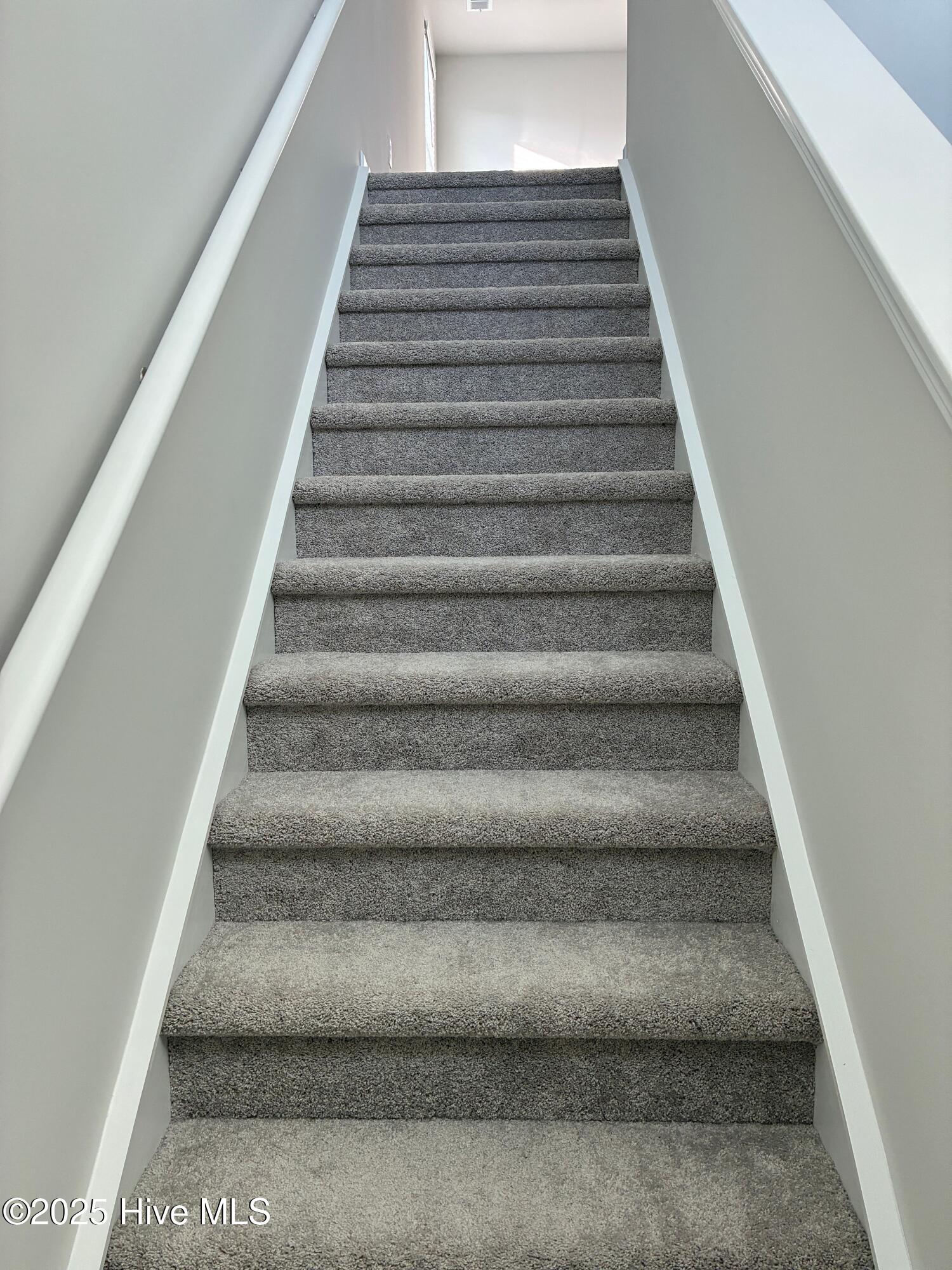 100569016 | Photo 24