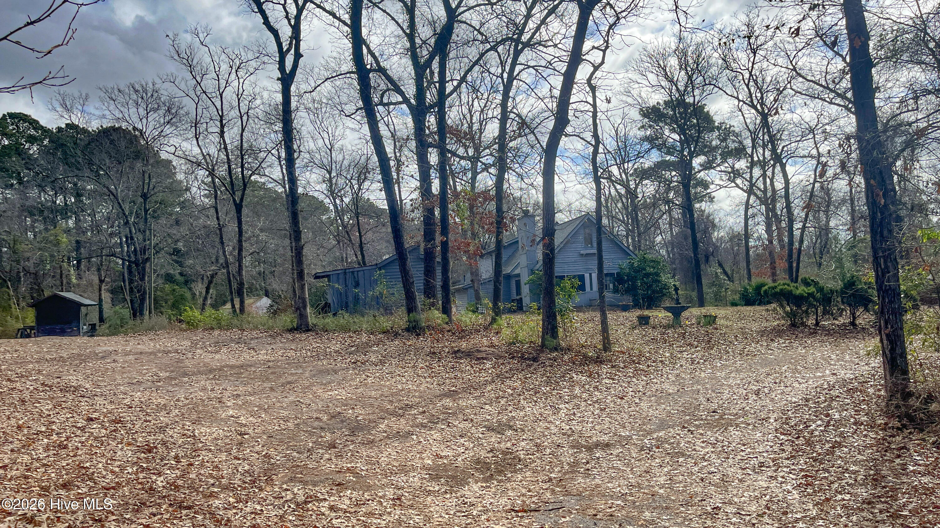 100557904 | Photo 22