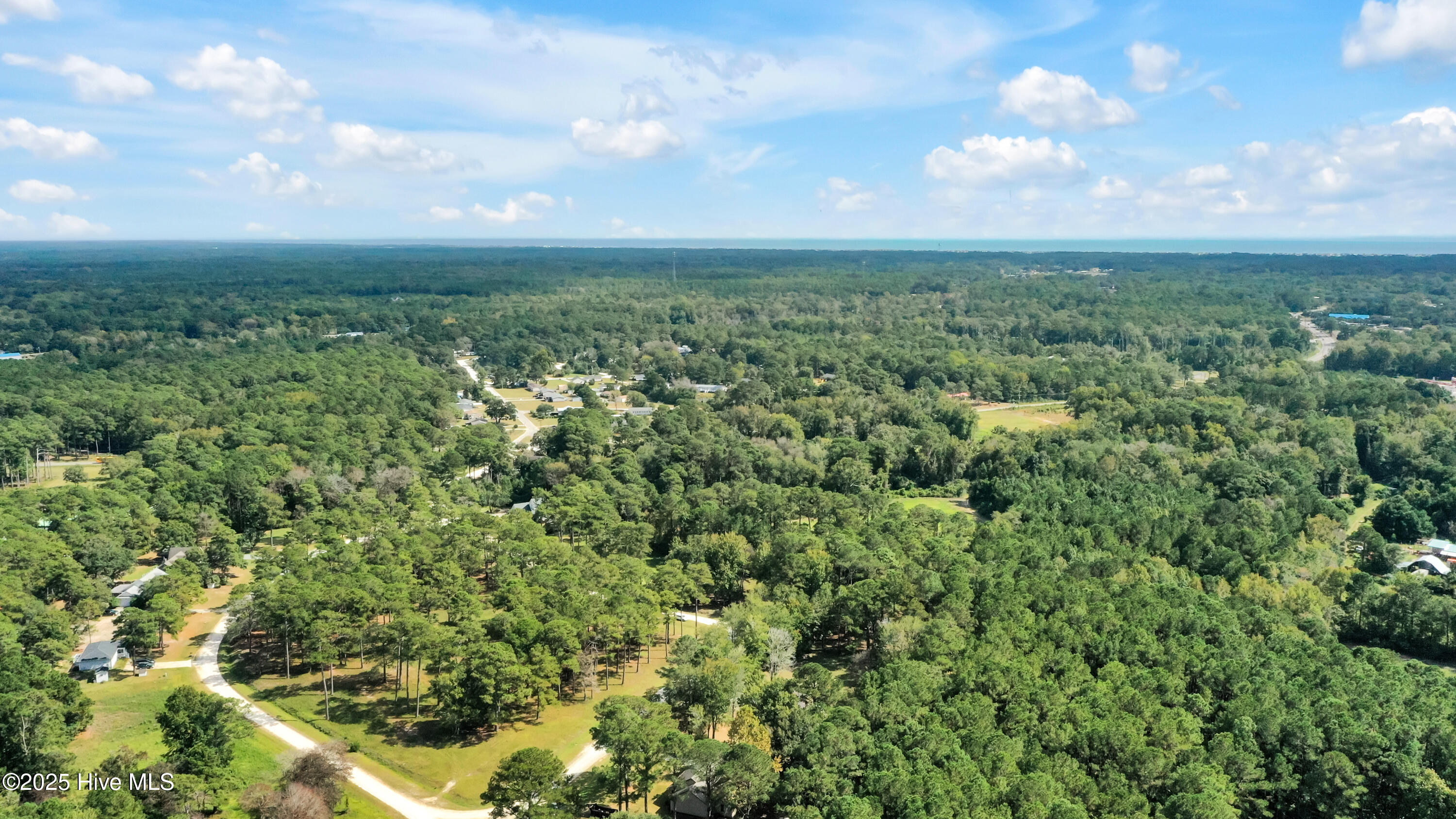 100538447 | Photo 45