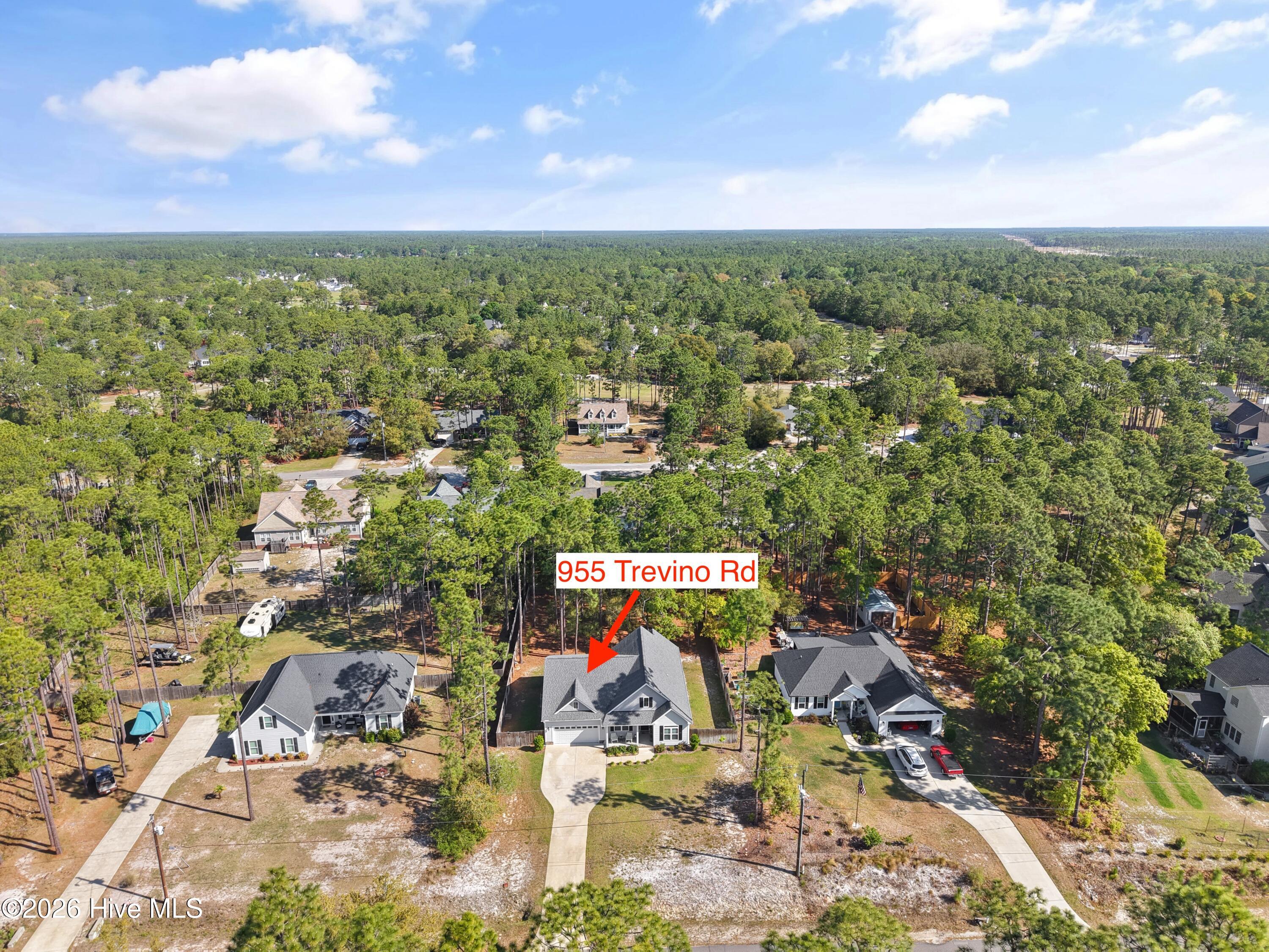 100568051 | Photo 49