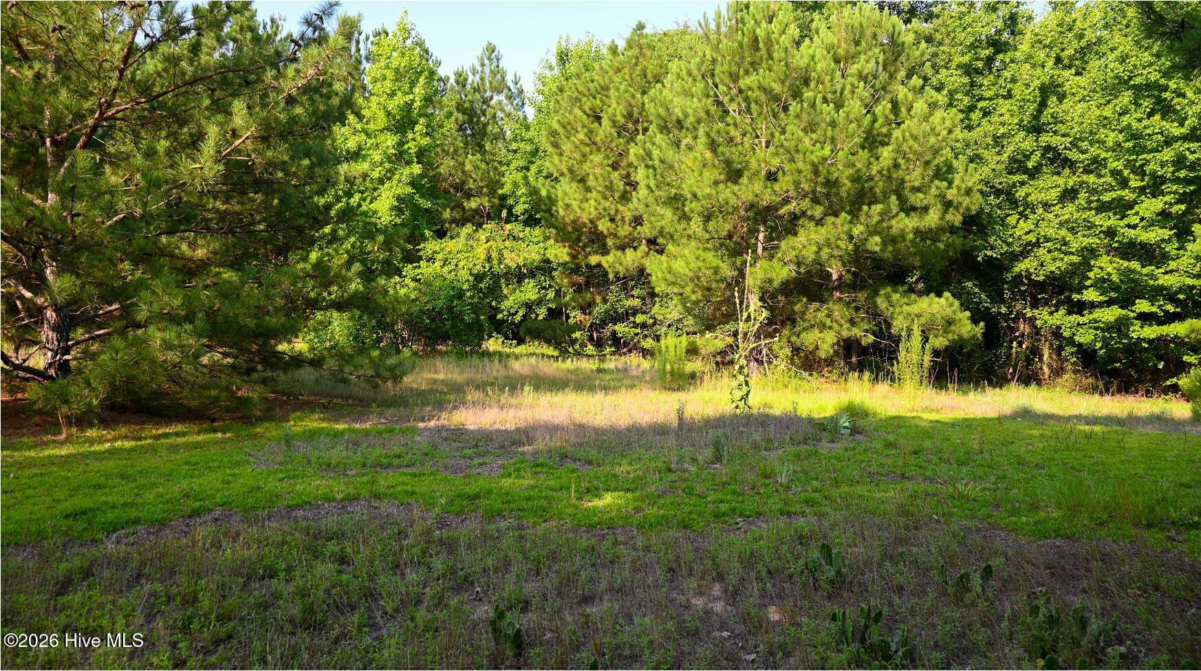 8th image of 84 Jo62, Rockingham, NC 28379 | MLS# 100594300