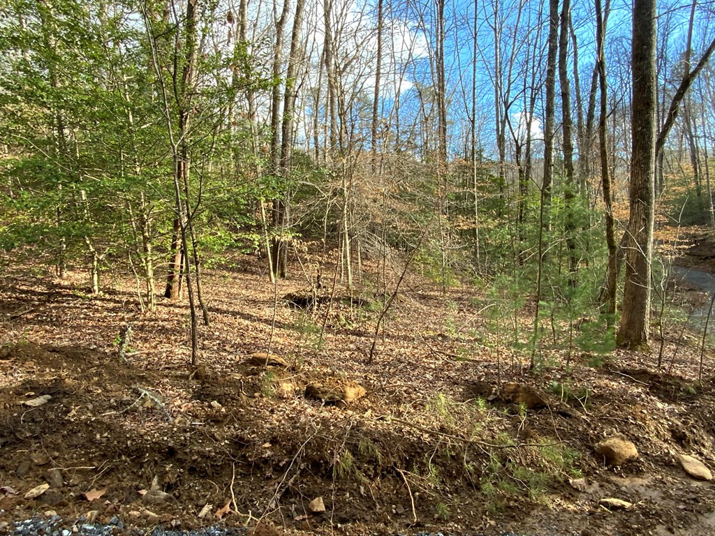 Exterior photo of Lot 8 8 Ivy Log Road, Murphy, NC 28906. MLS: 98544001