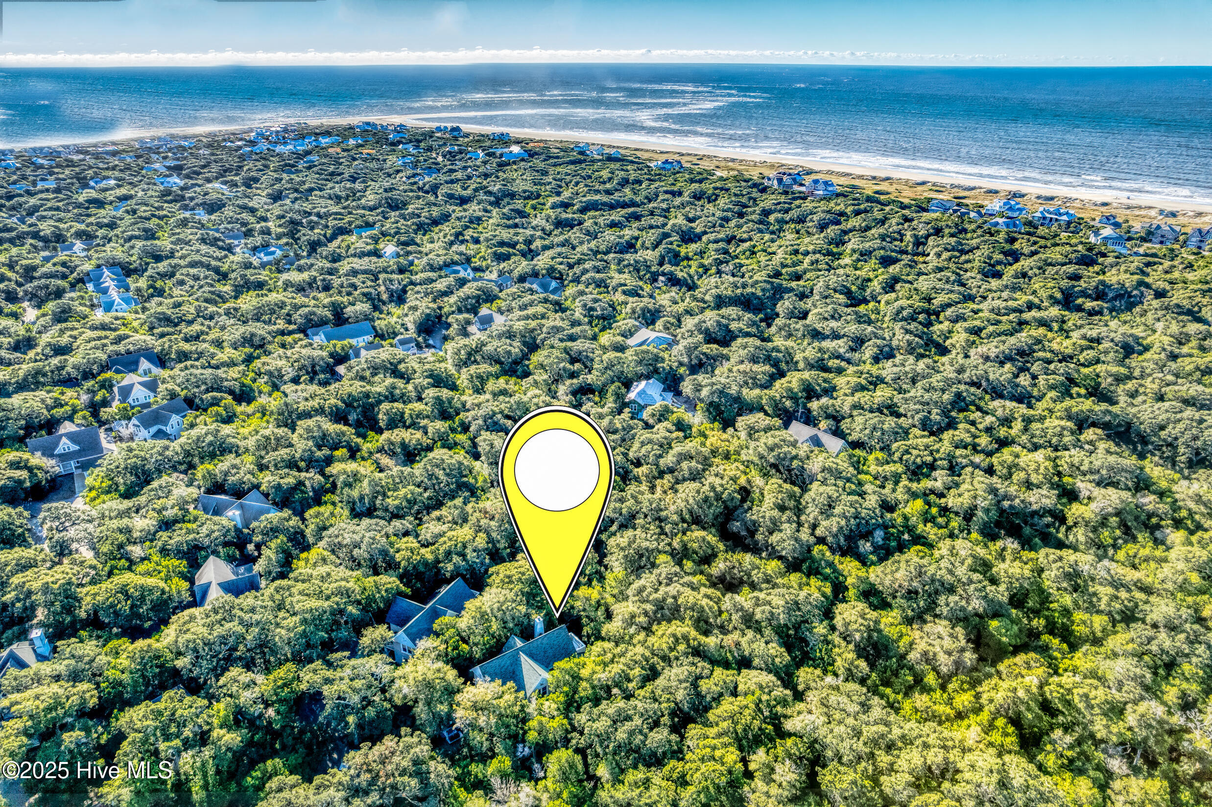 100530236 | Photo 71