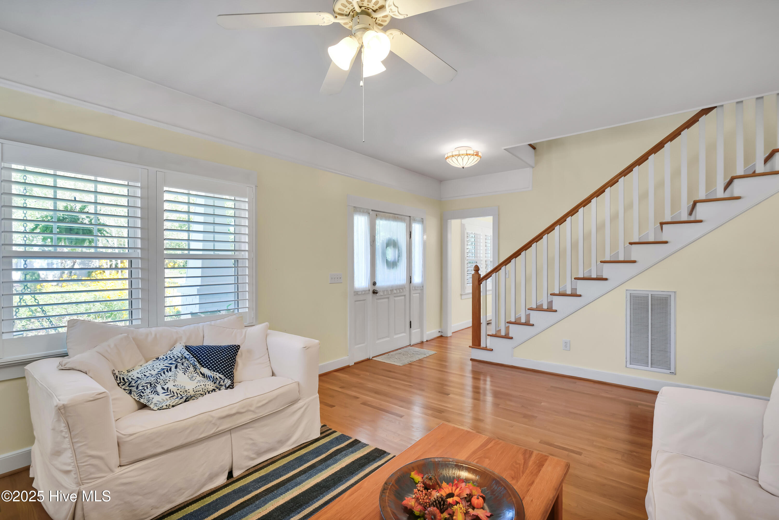 100535392 | Photo 10