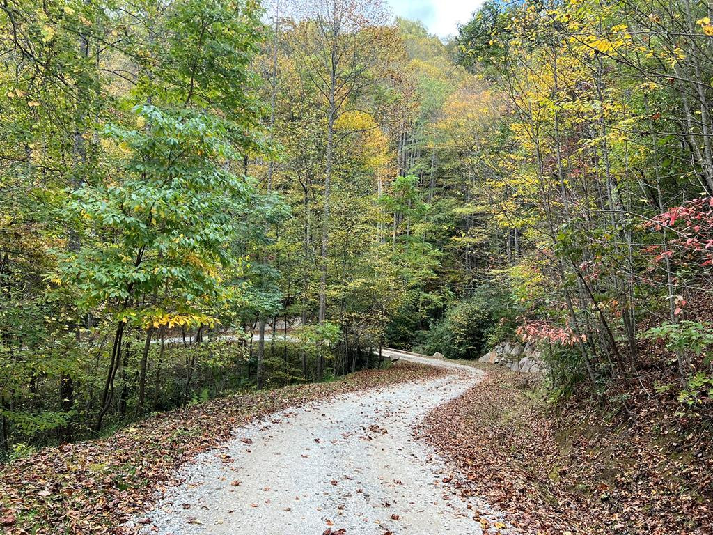 Homes for sale in Nantahala, NC | Lot 19 Preserve Valley Rd, Nantahala, NC 28781 | MLS# 98525030
