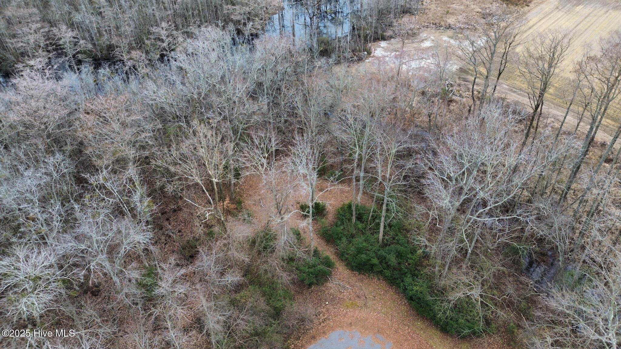 8-web-or-mls-dji_fly_20250111_031102_652