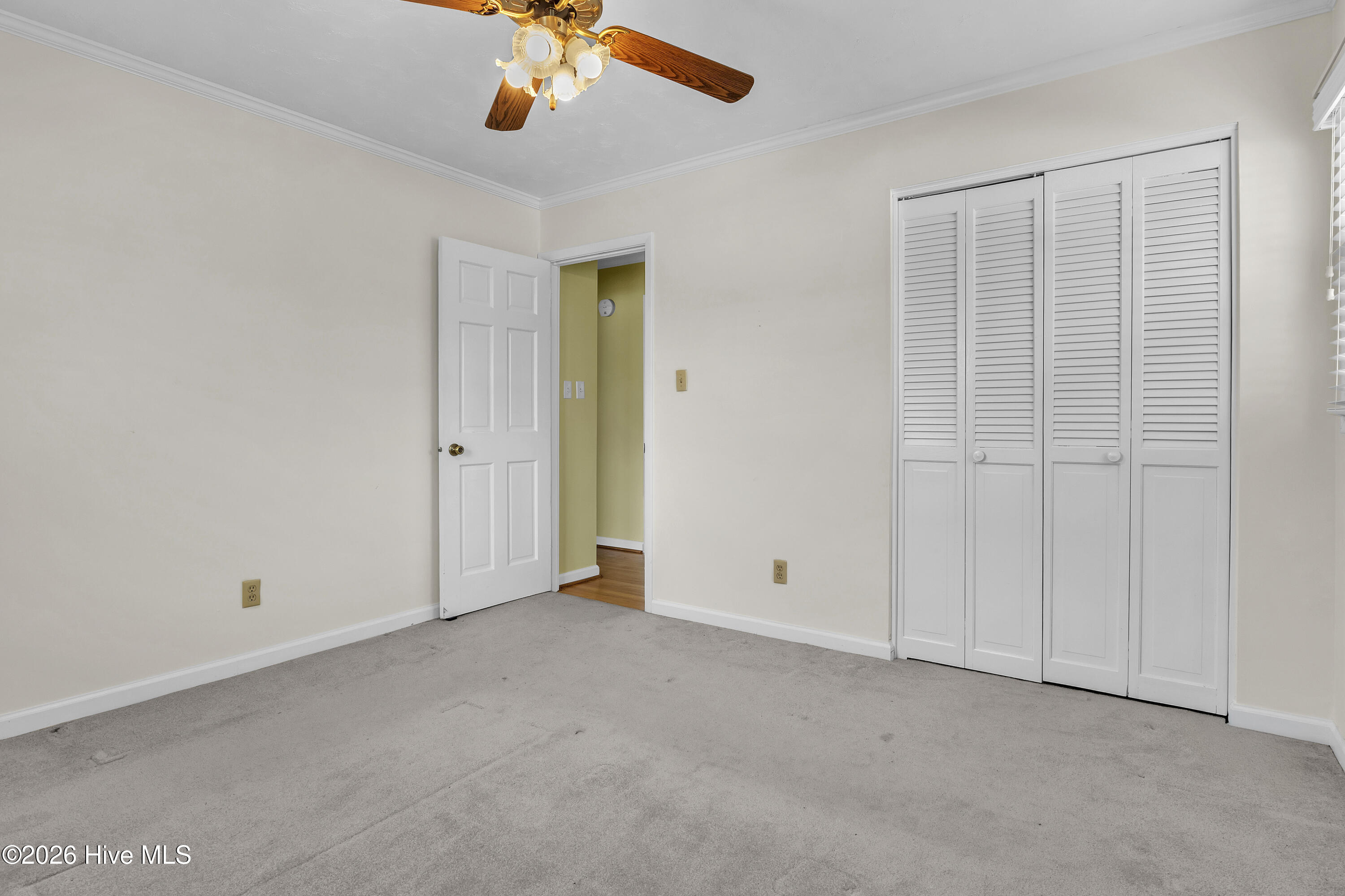 100555841 | Photo 34