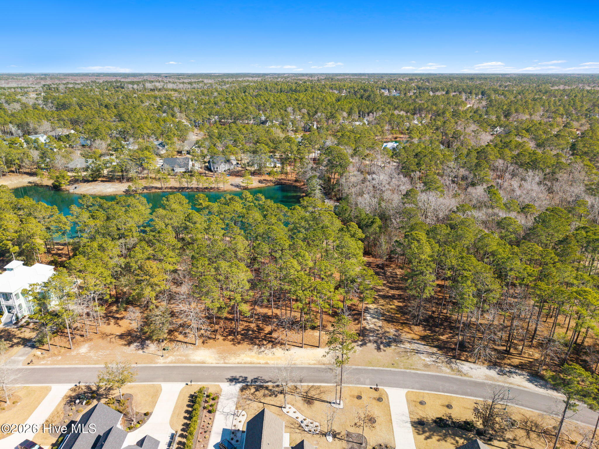 100554844 | Photo 15