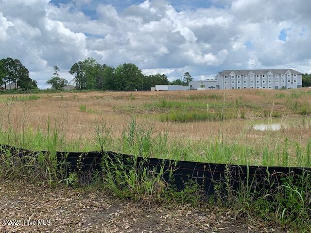 100512196 | Photo 19