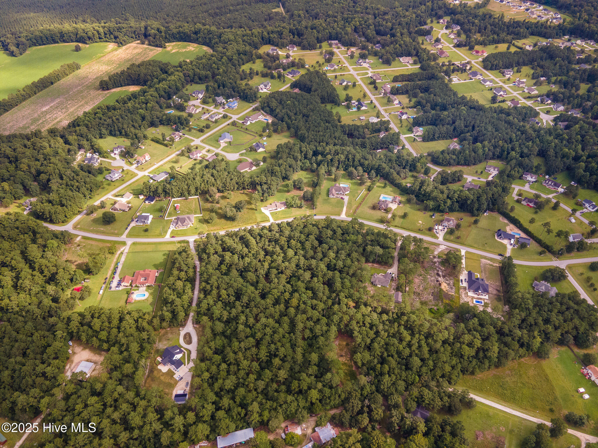 100523955 | Photo 10