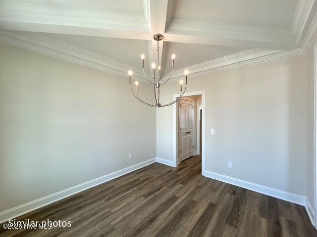 100553886 | Photo 12