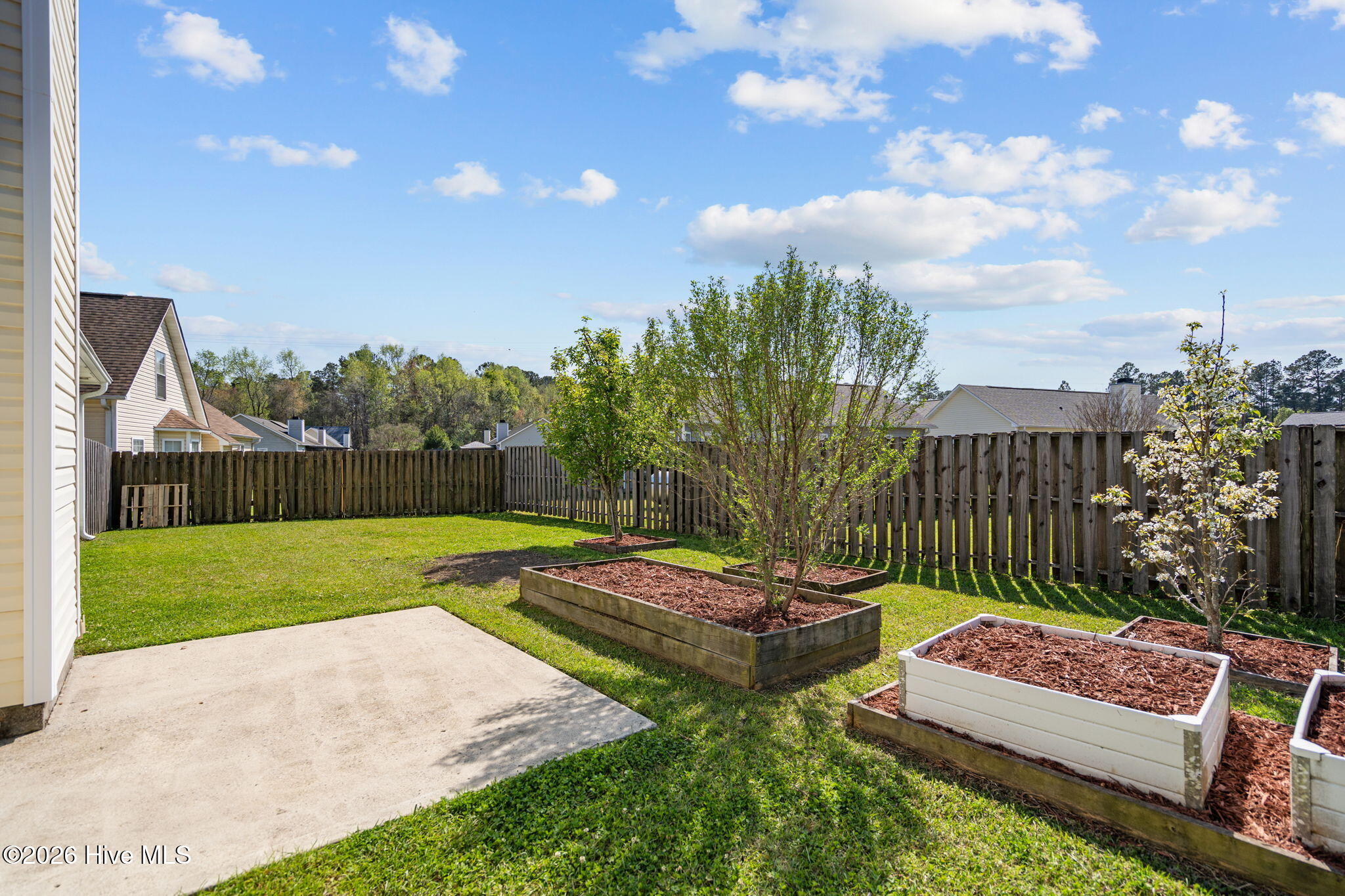 100563369 | Photo 13