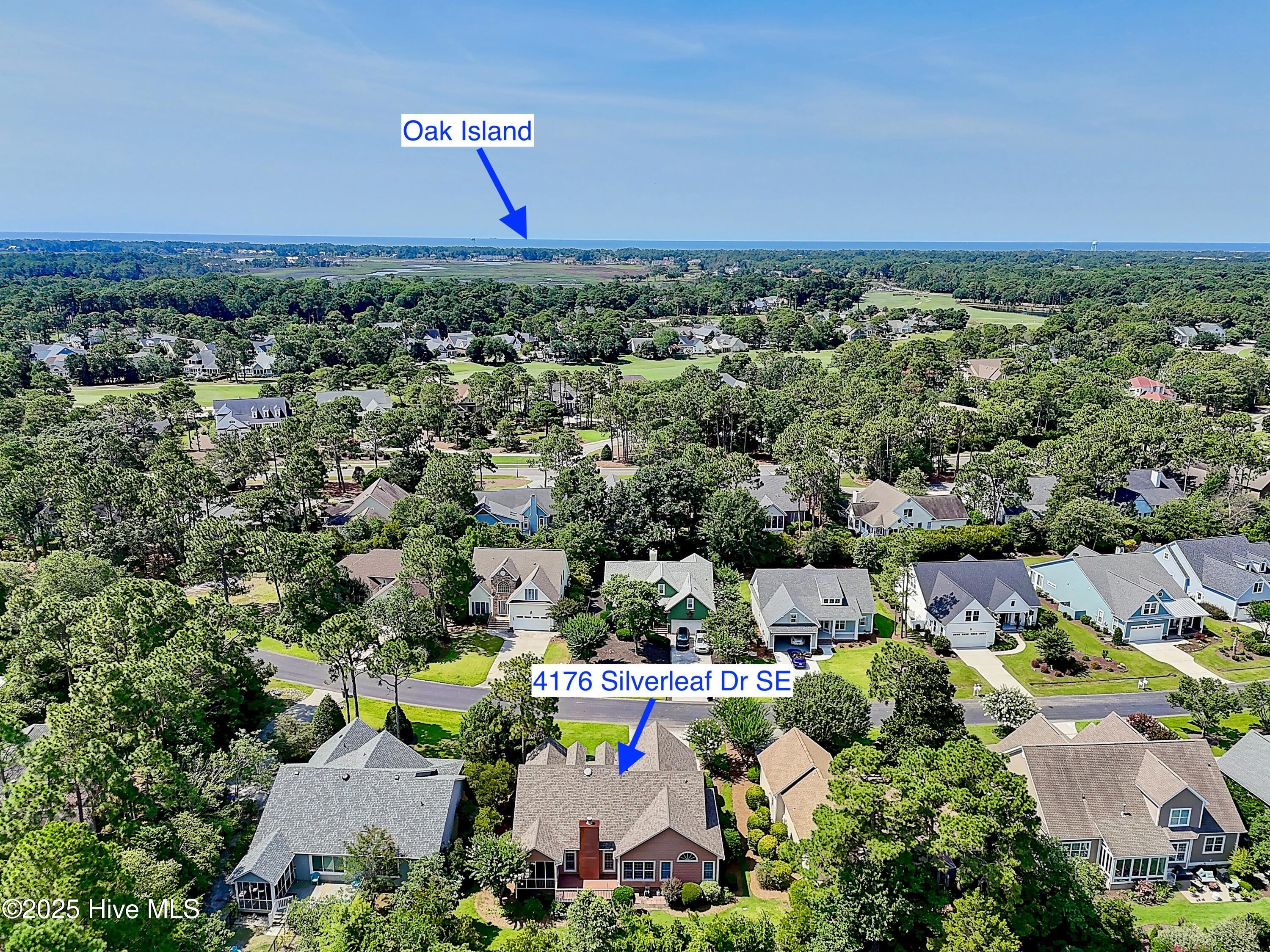 100535708 | Photo 41