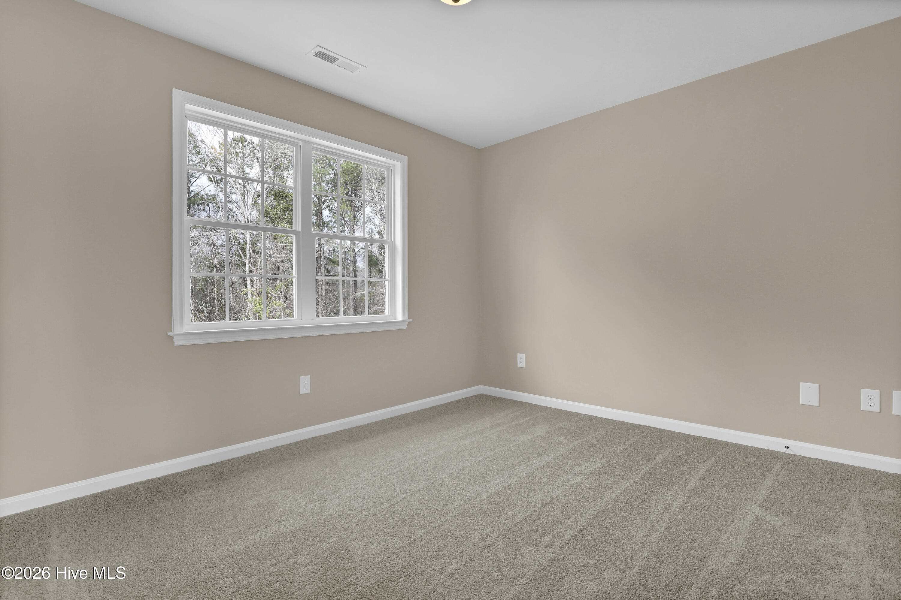 100556973 | Photo 15