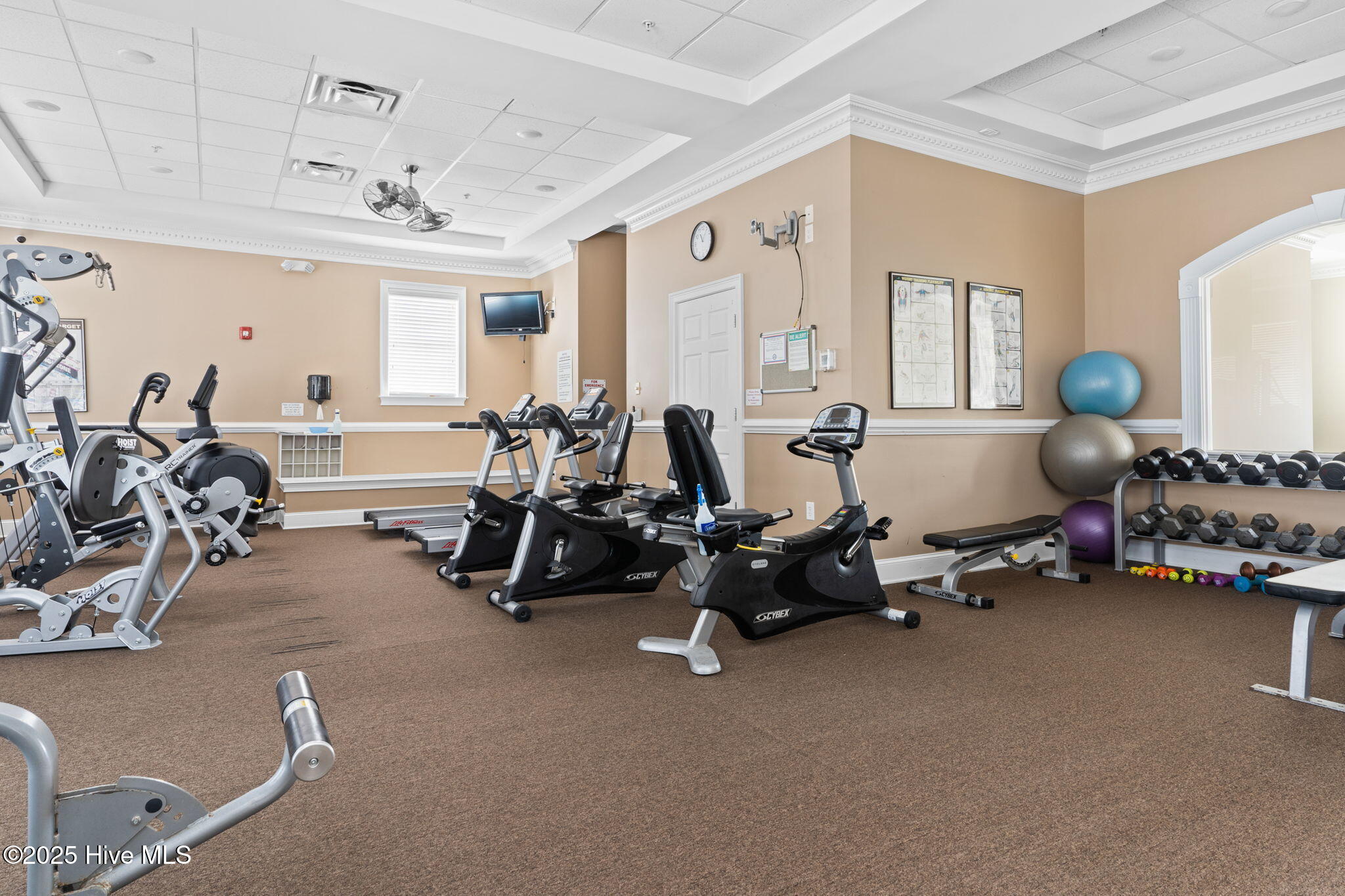 100521127 | Photo 27