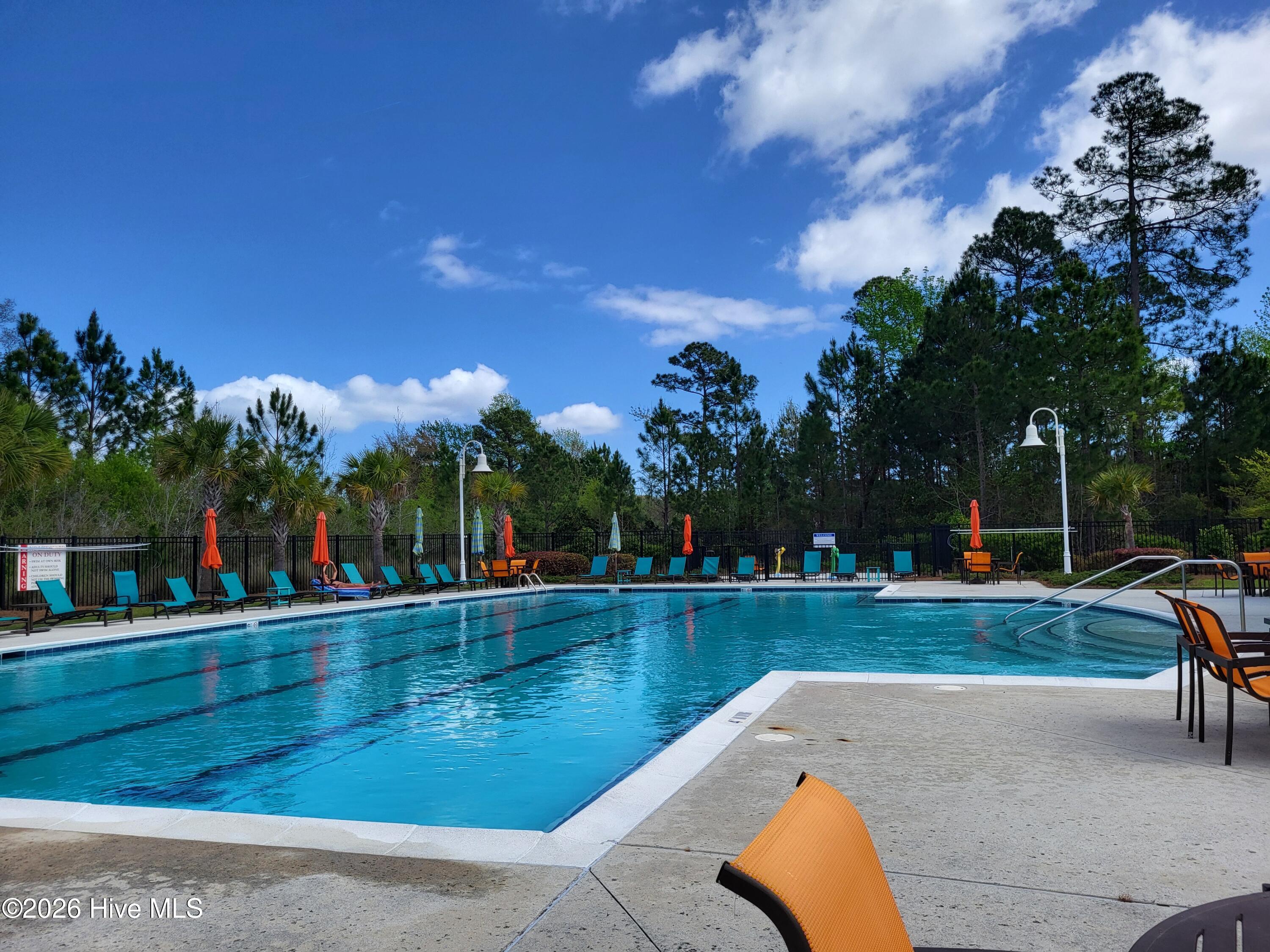 100564623 | Photo 33