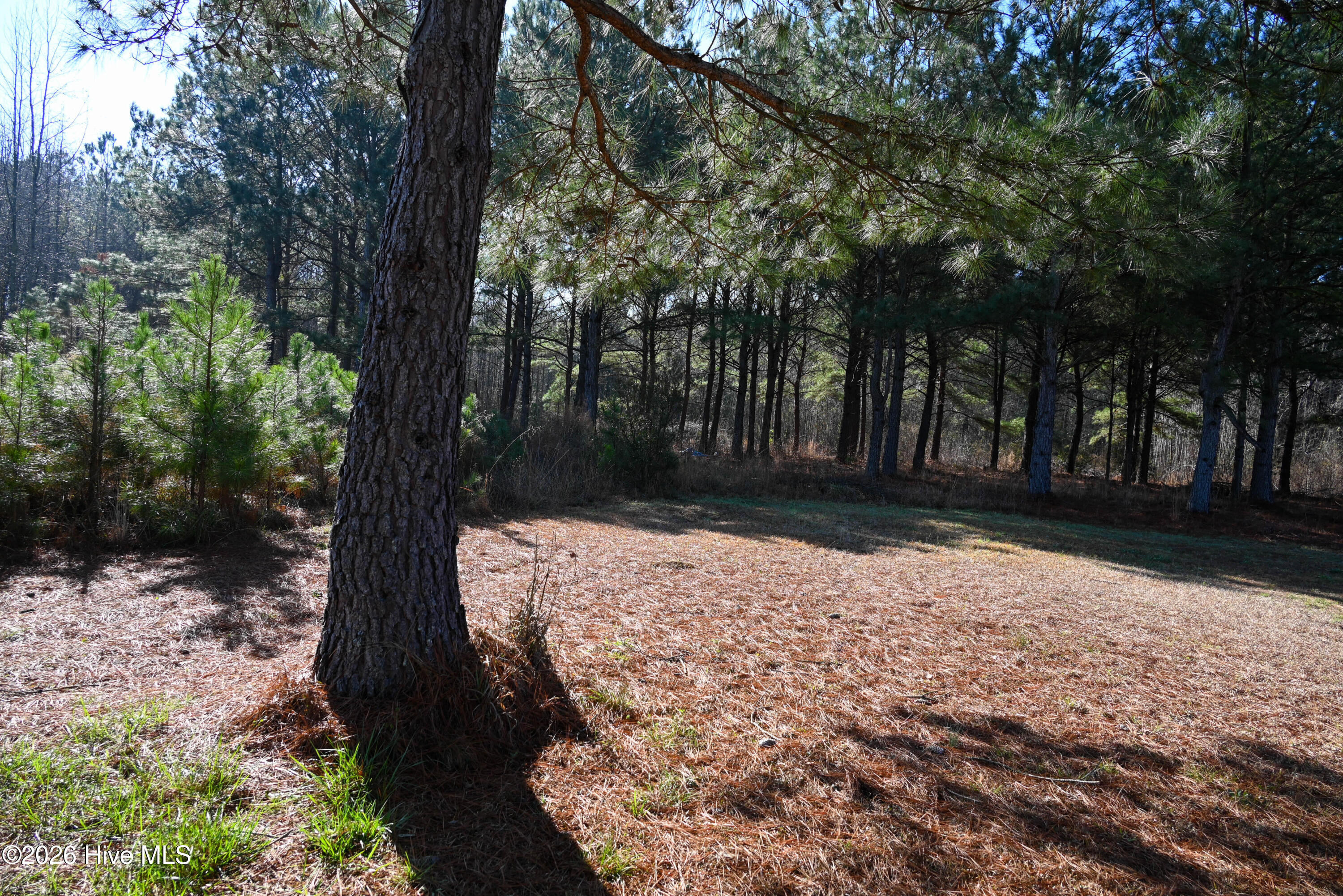 100560038 | Photo 30