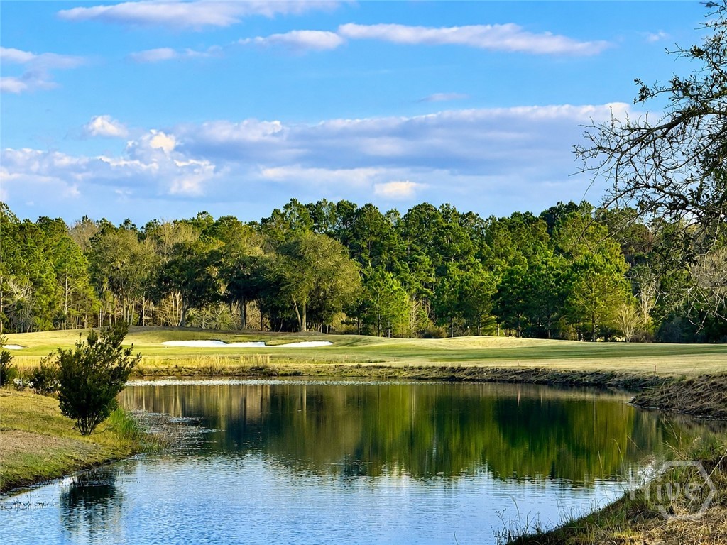 41st image of 106 Danbury Ct, Pooler, GA 31322 | MLS# SA362781